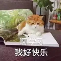qqq64