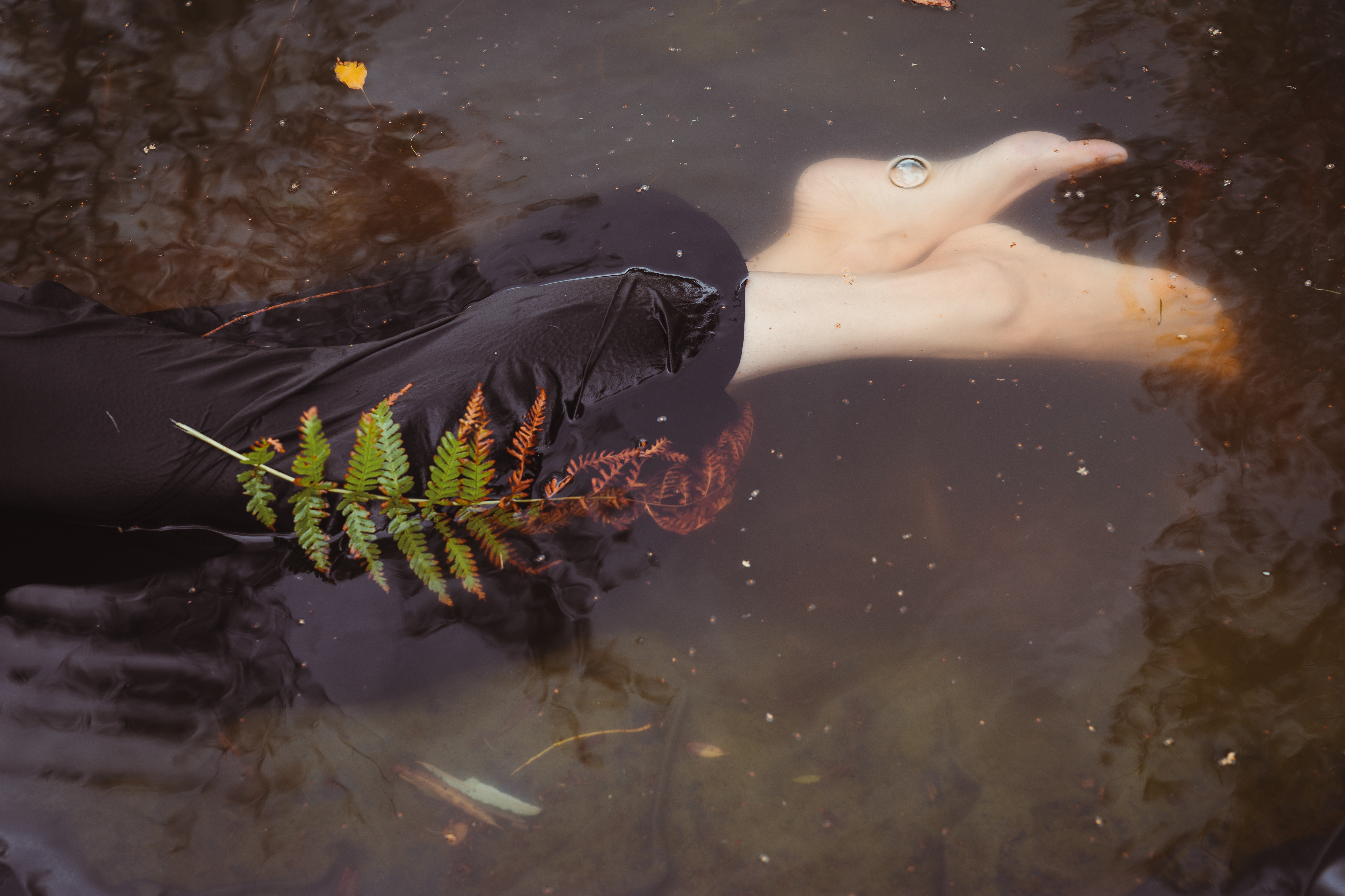 Ophelia's dream
