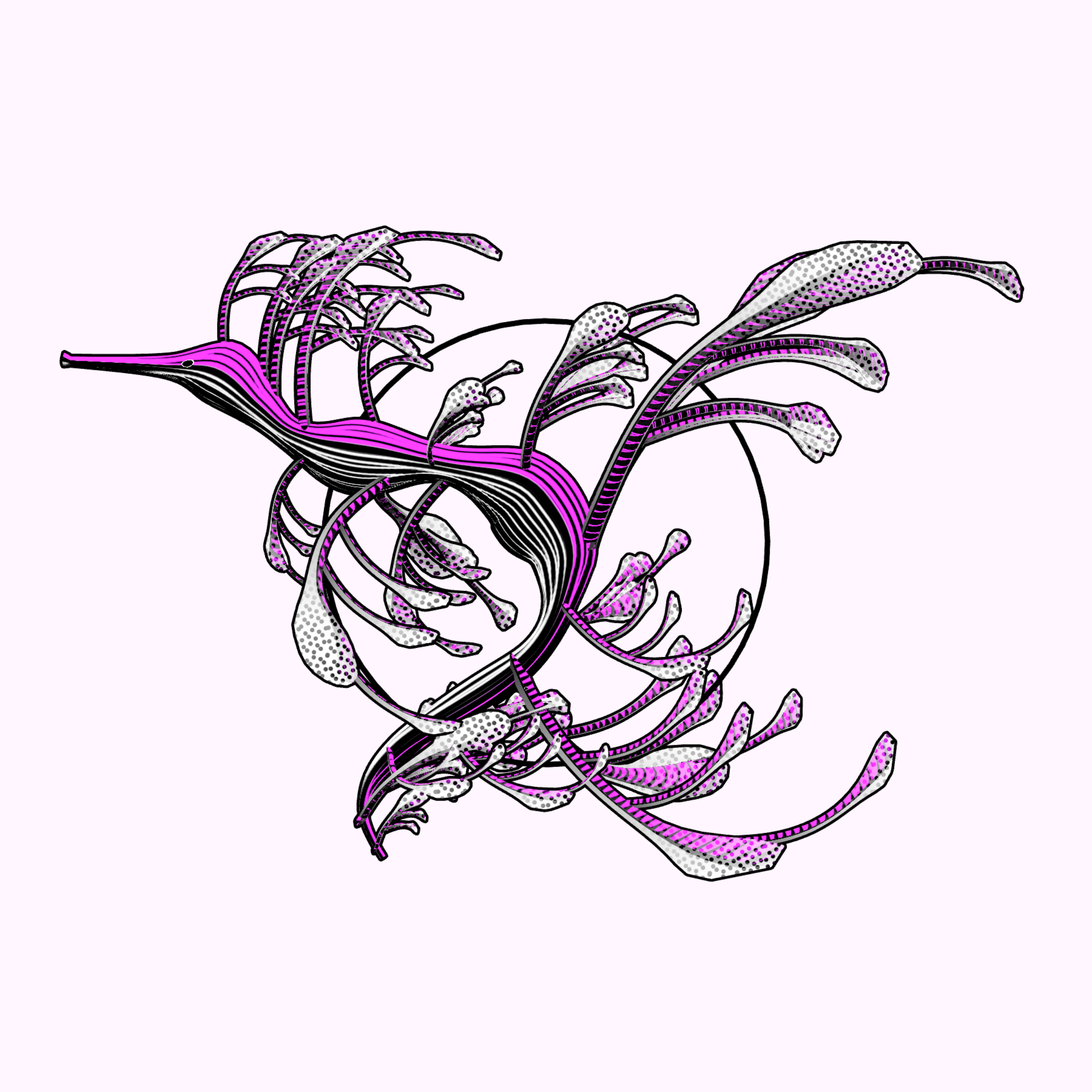 Seadragons #19