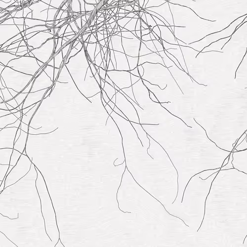 The Oak Tree part #-1,-2