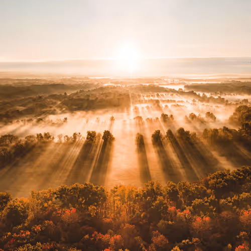 spreading the light