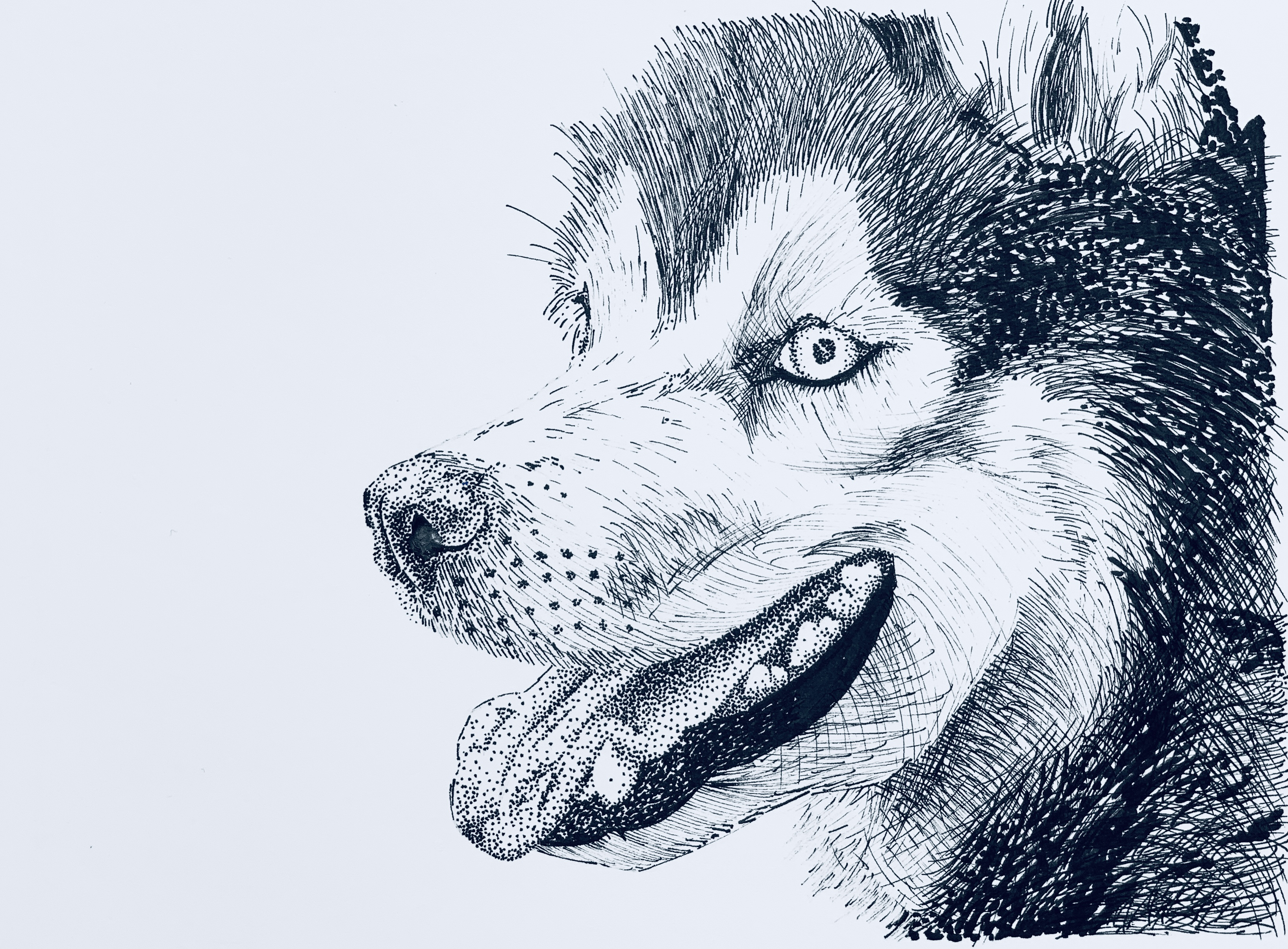 Husky
