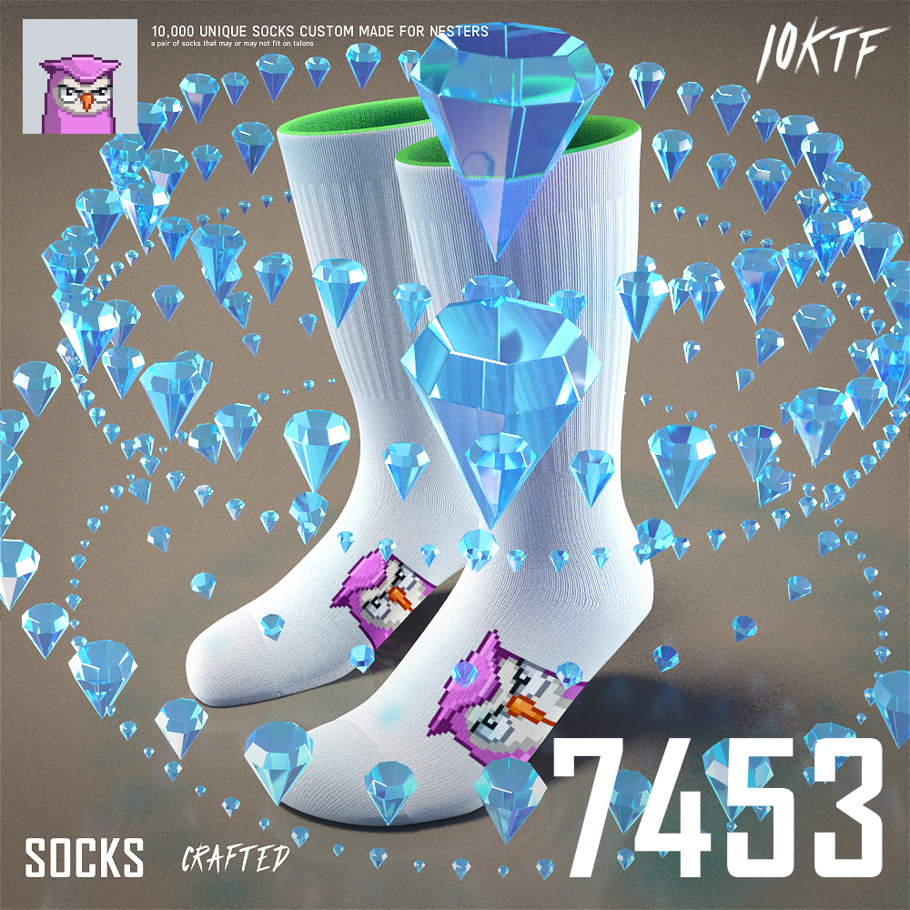 Moonbird Crew Socks #7453