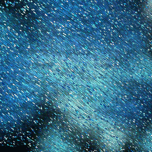 Databars 244