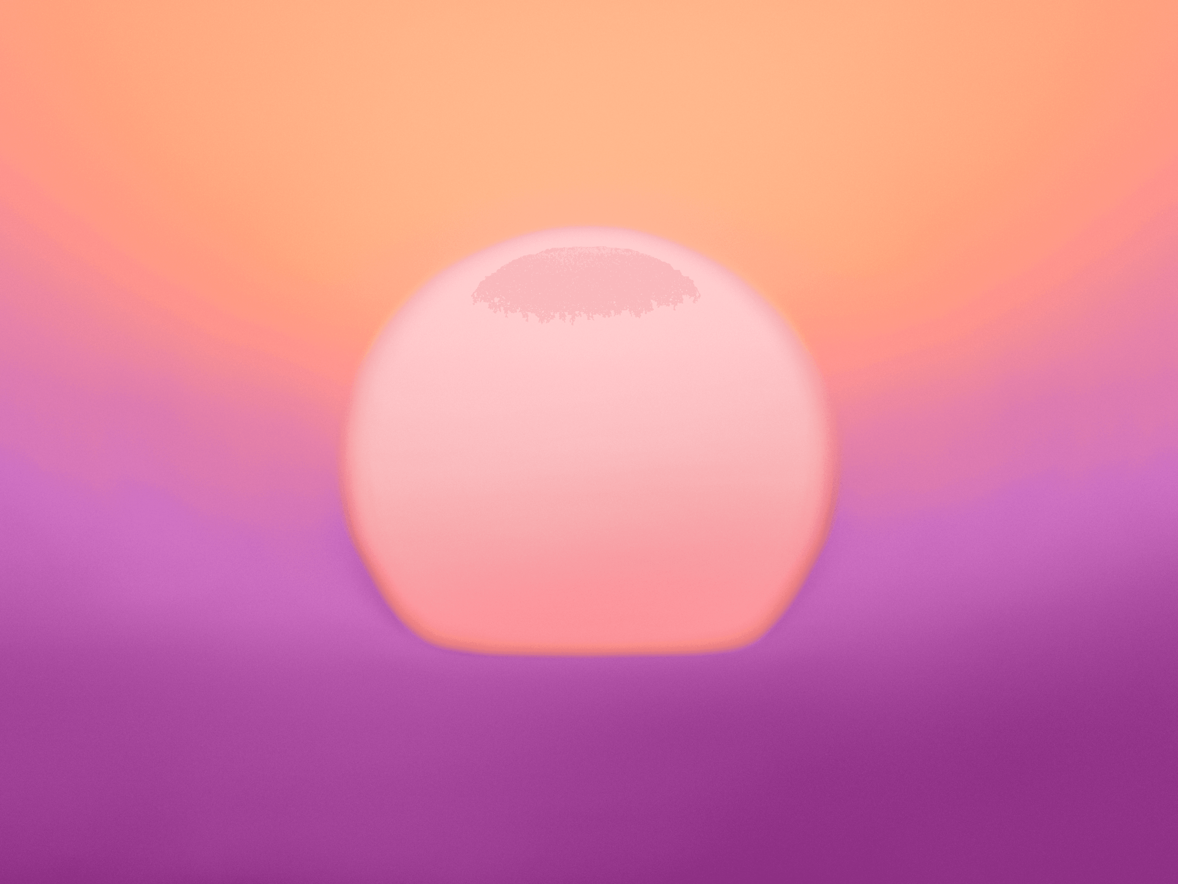 GM Sunshine No90