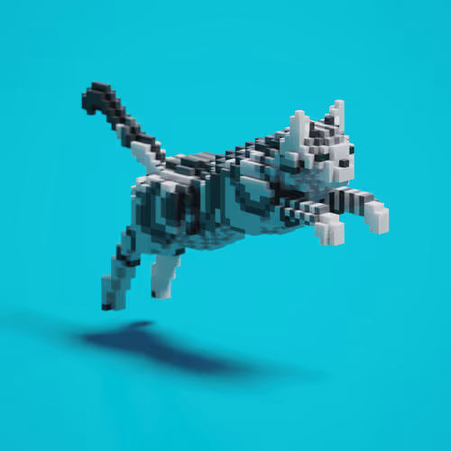 Jumping Cat