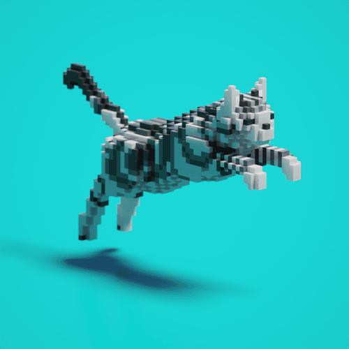Jumping Cat