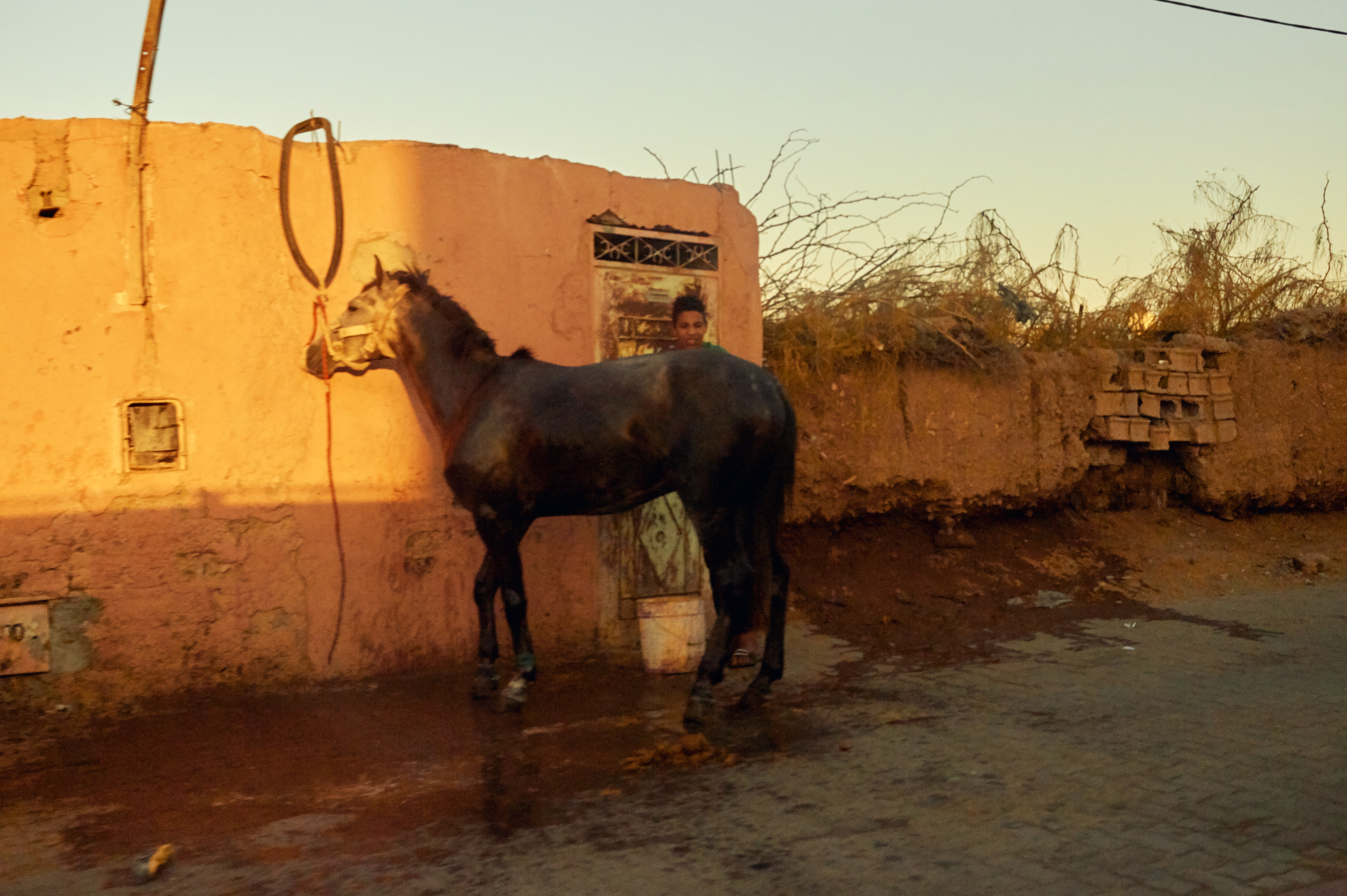 THE TRAVELSCAPES. Boy and Horse. Marrakech, Morocco.