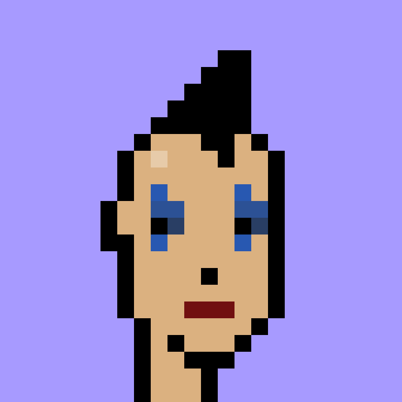 V1 PUNK #9713