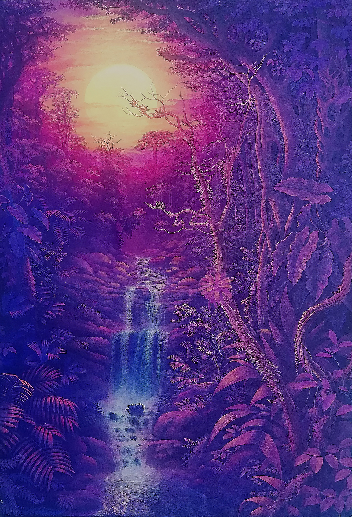 SELVA ROSA
