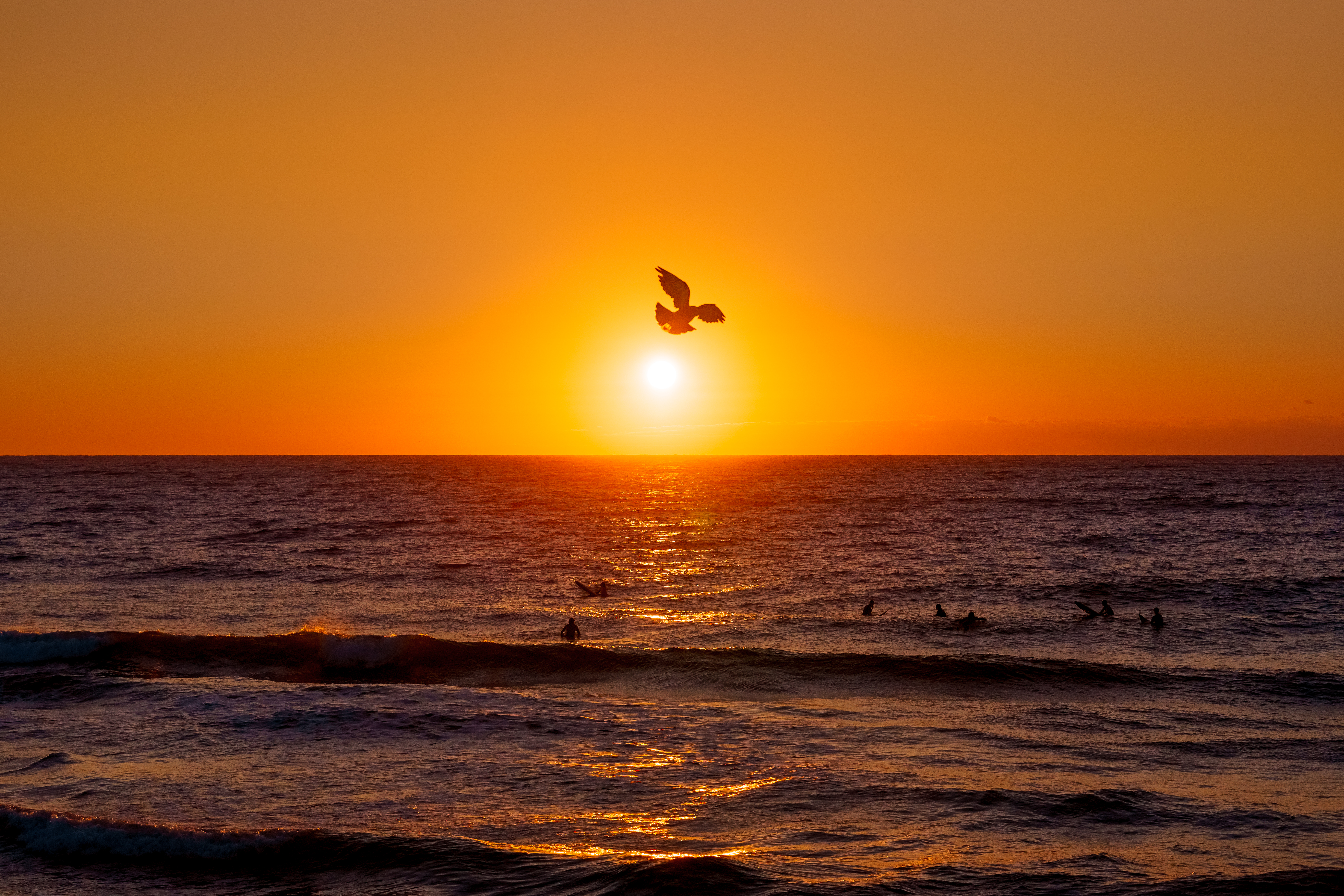 take flight