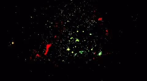 Galaxy Run