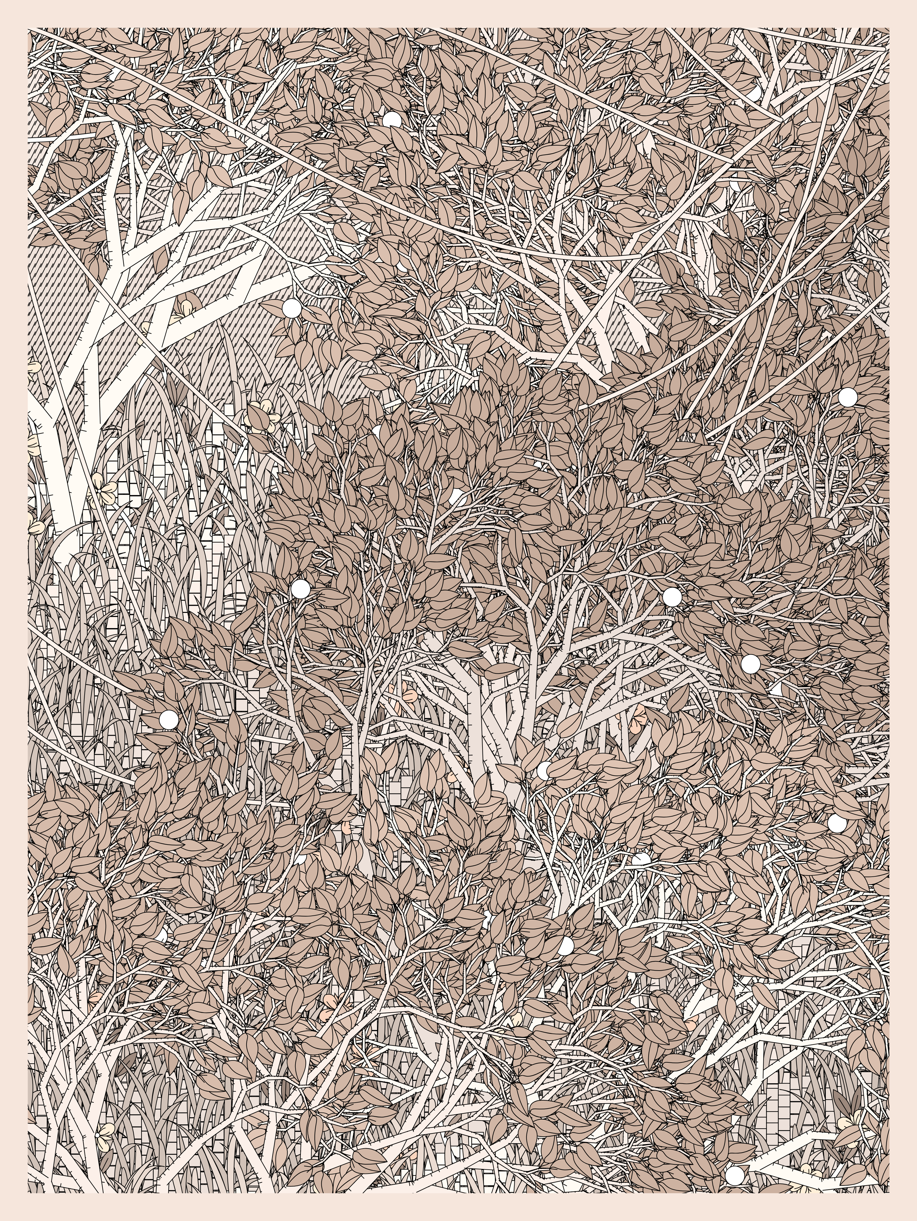 Entangled #313