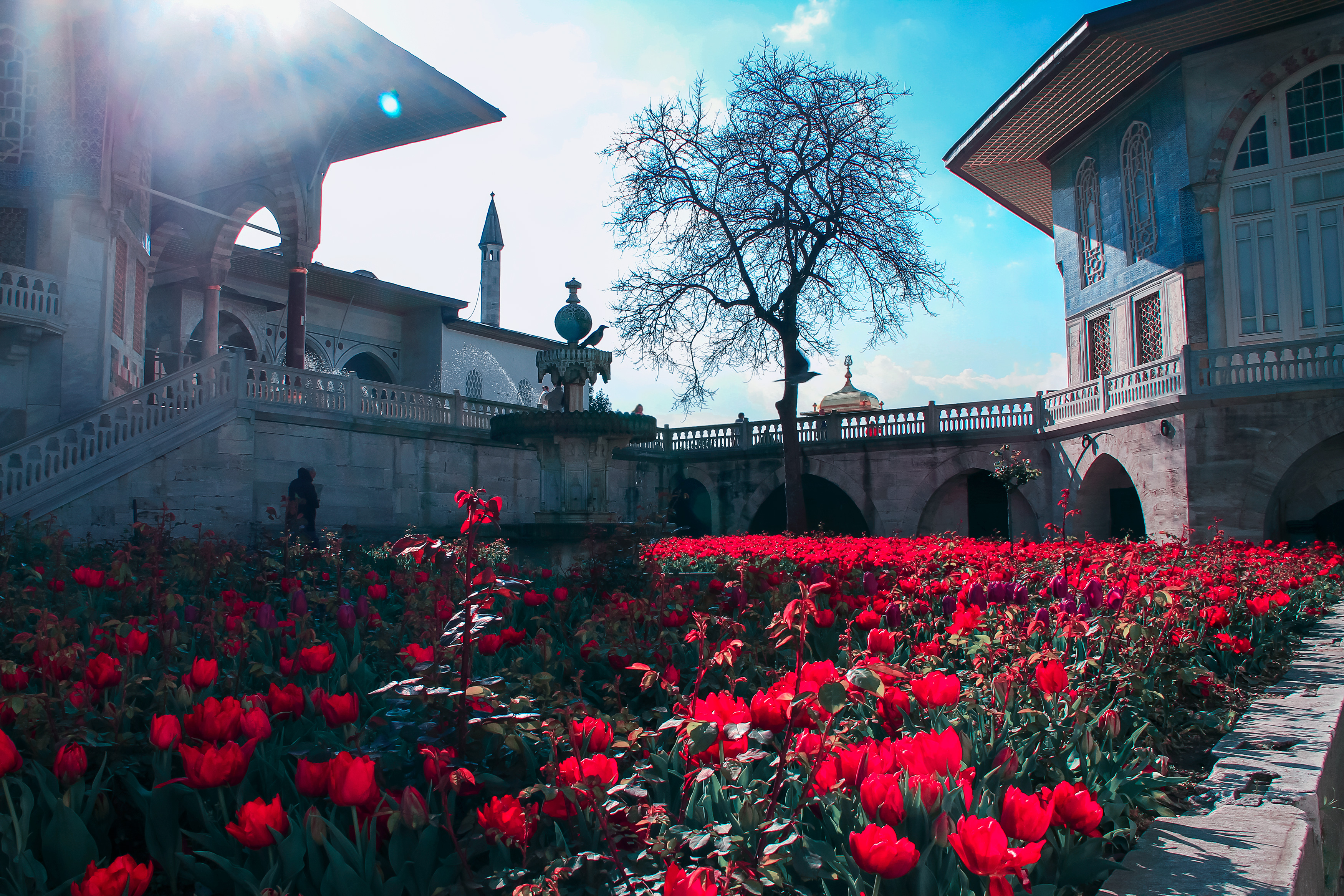 Tulip Palace