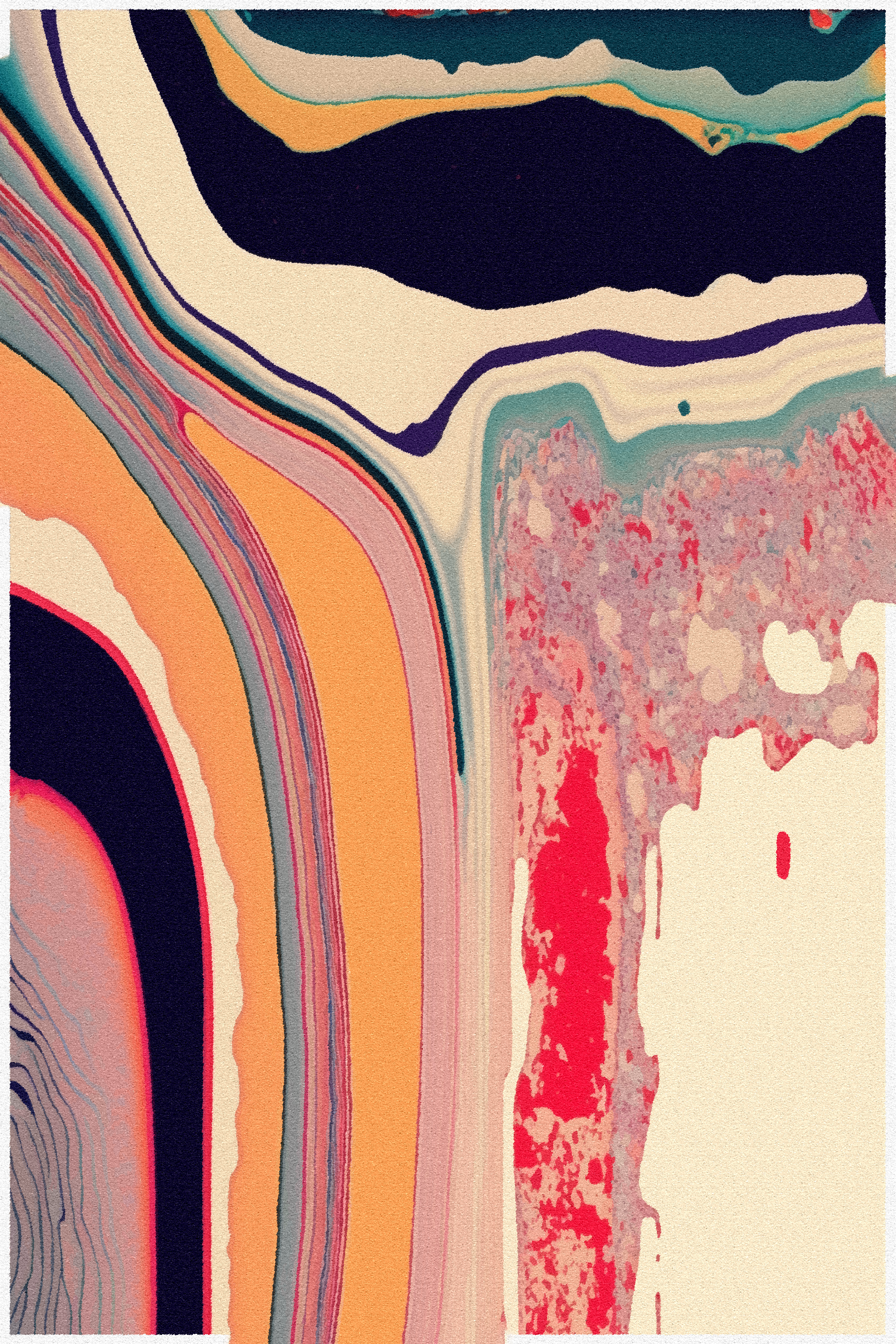Nauthera #118