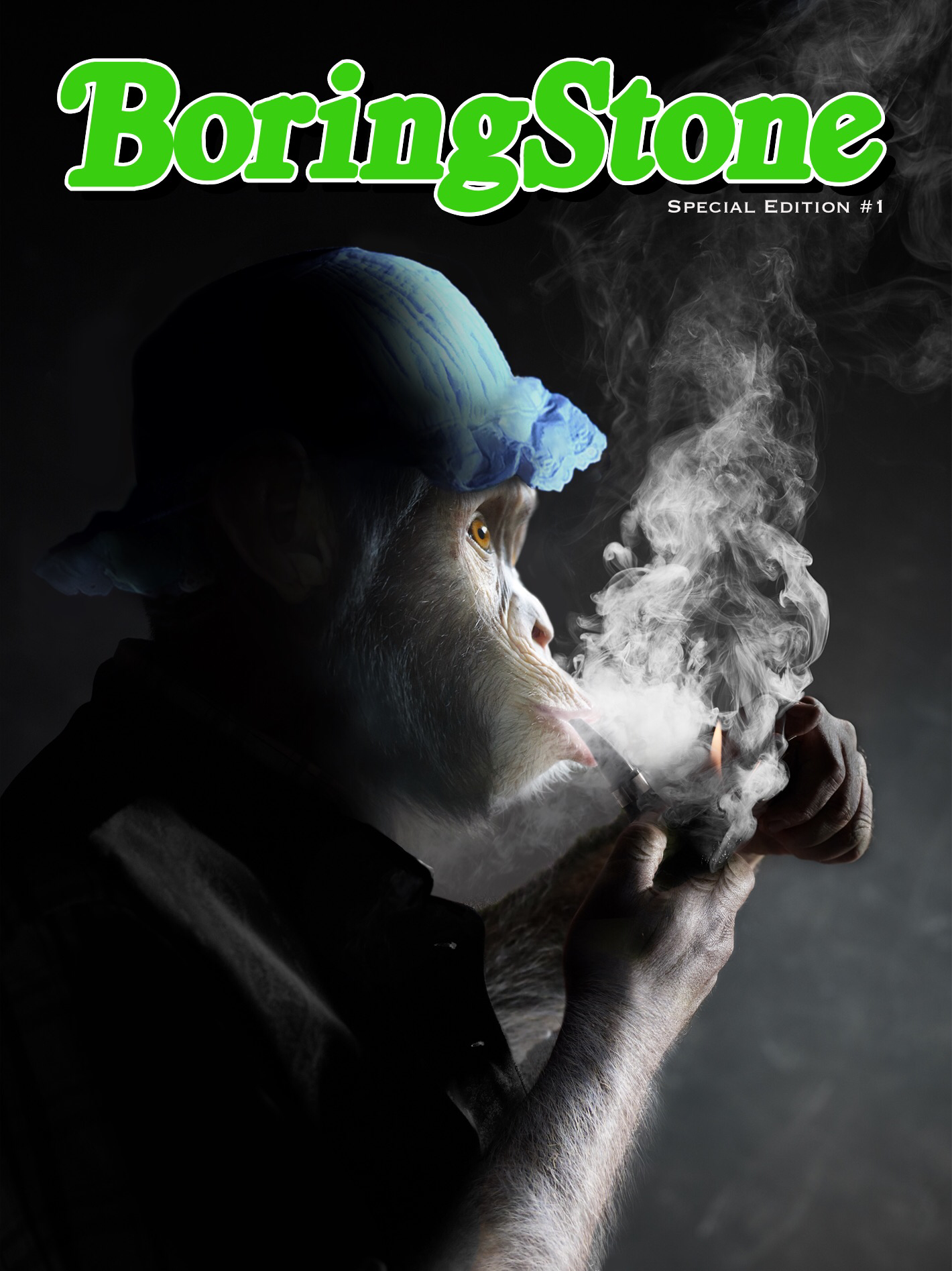 BoringStoneNFT Special Edition #1 - Cryptopainter