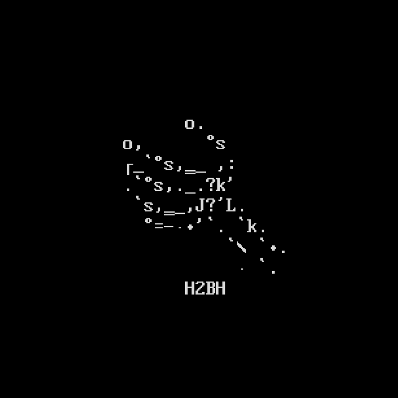 H2BH PATCH