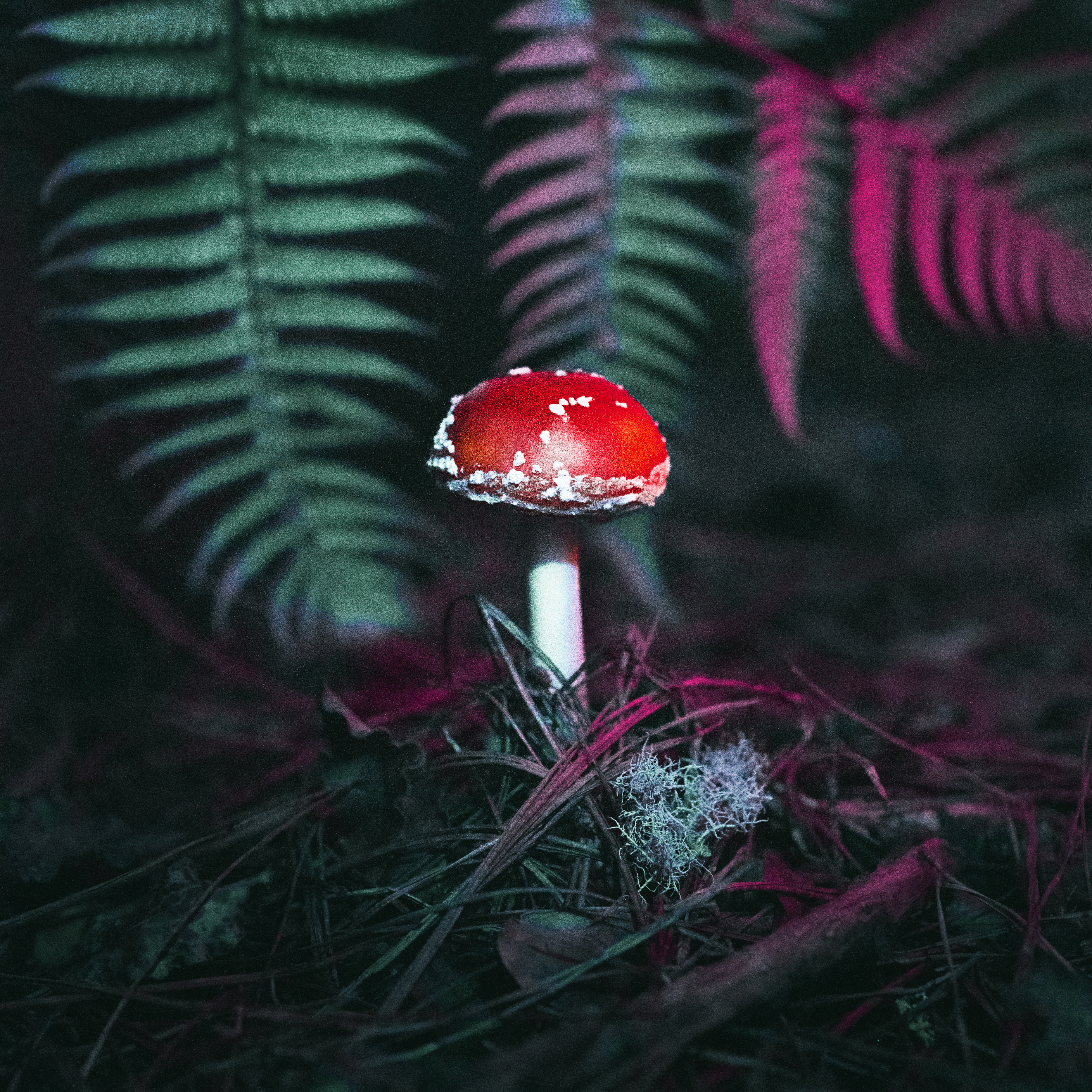 PHANTASIA #4