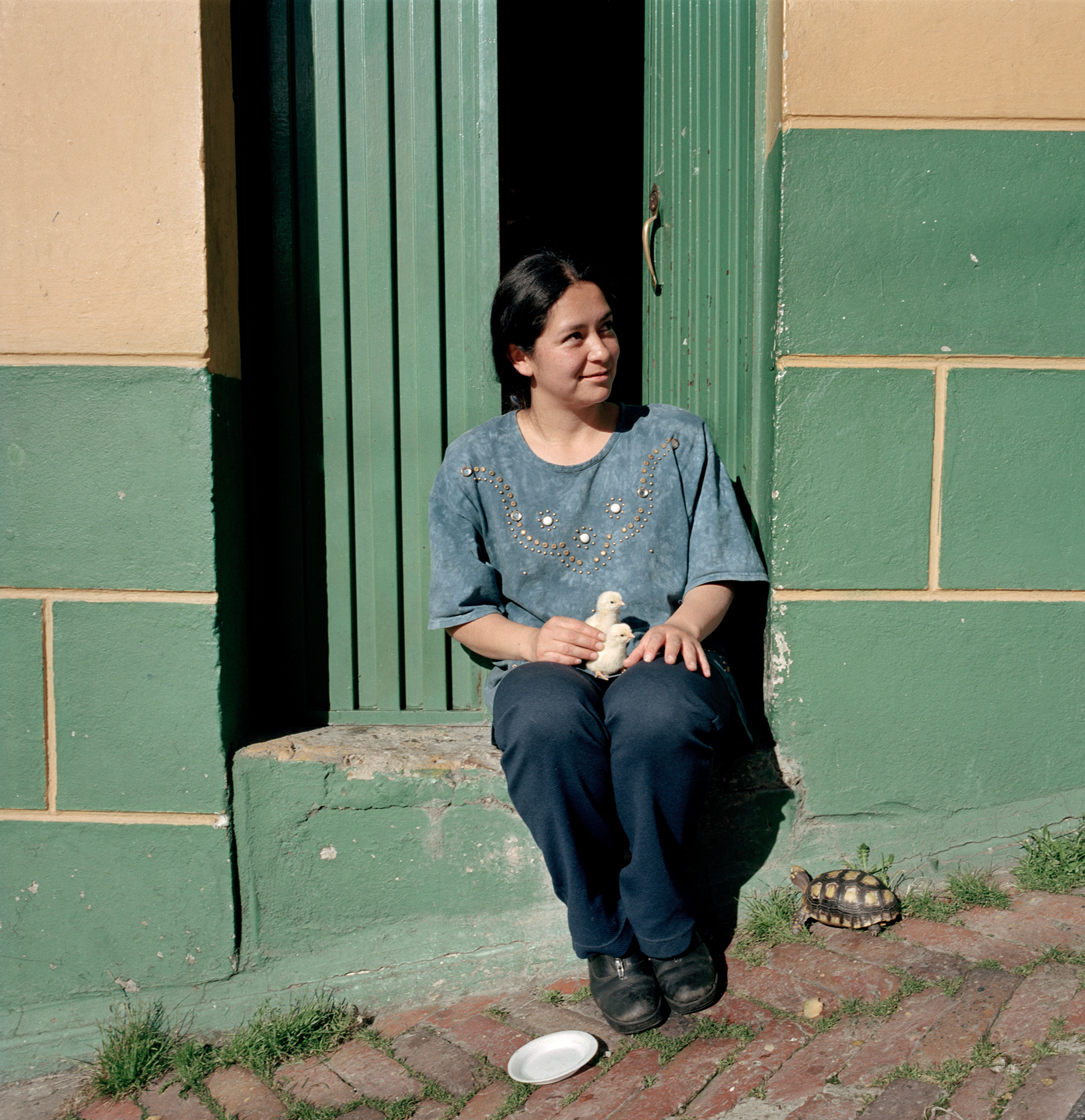 Dog Days, Bogotá #49