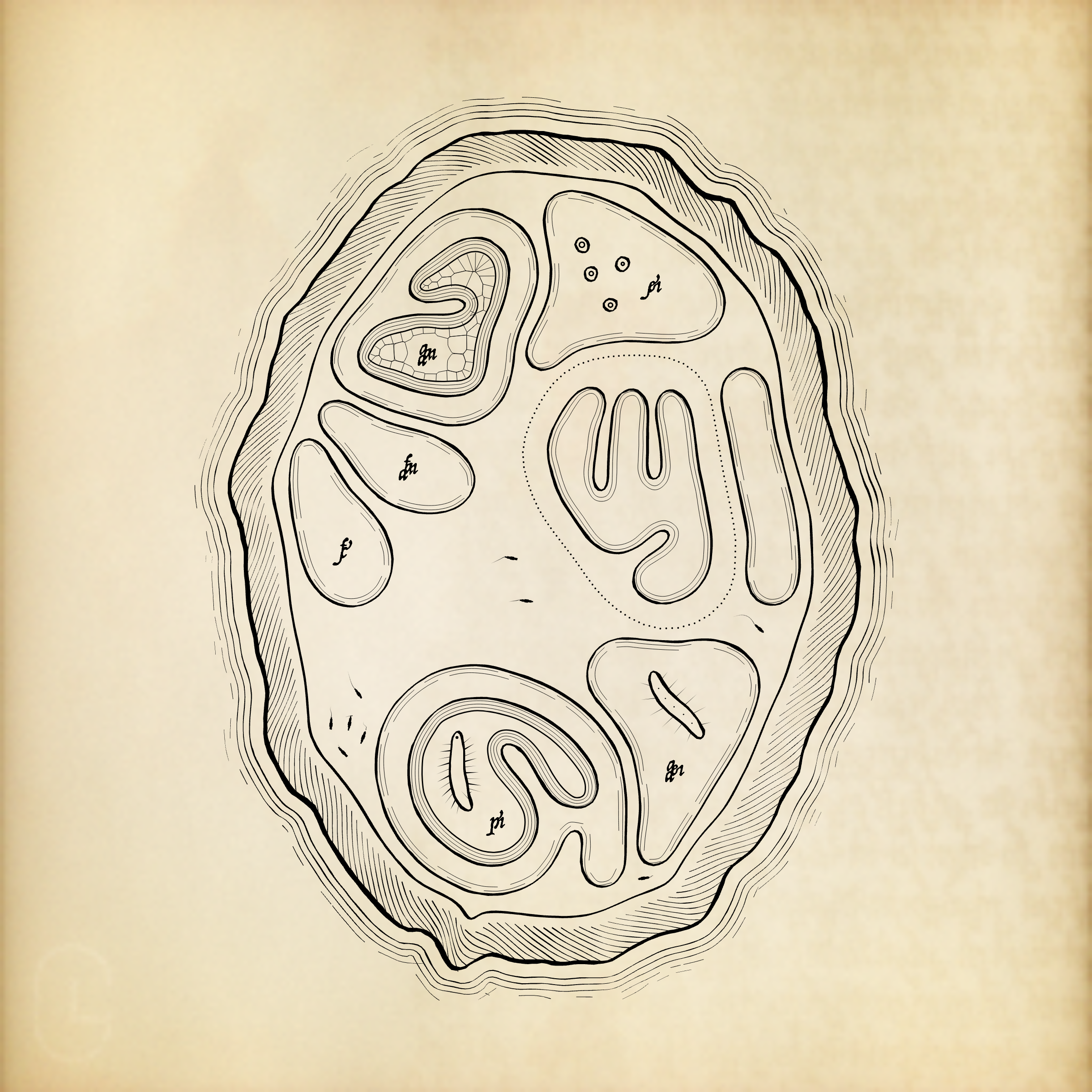 Cytographia #329