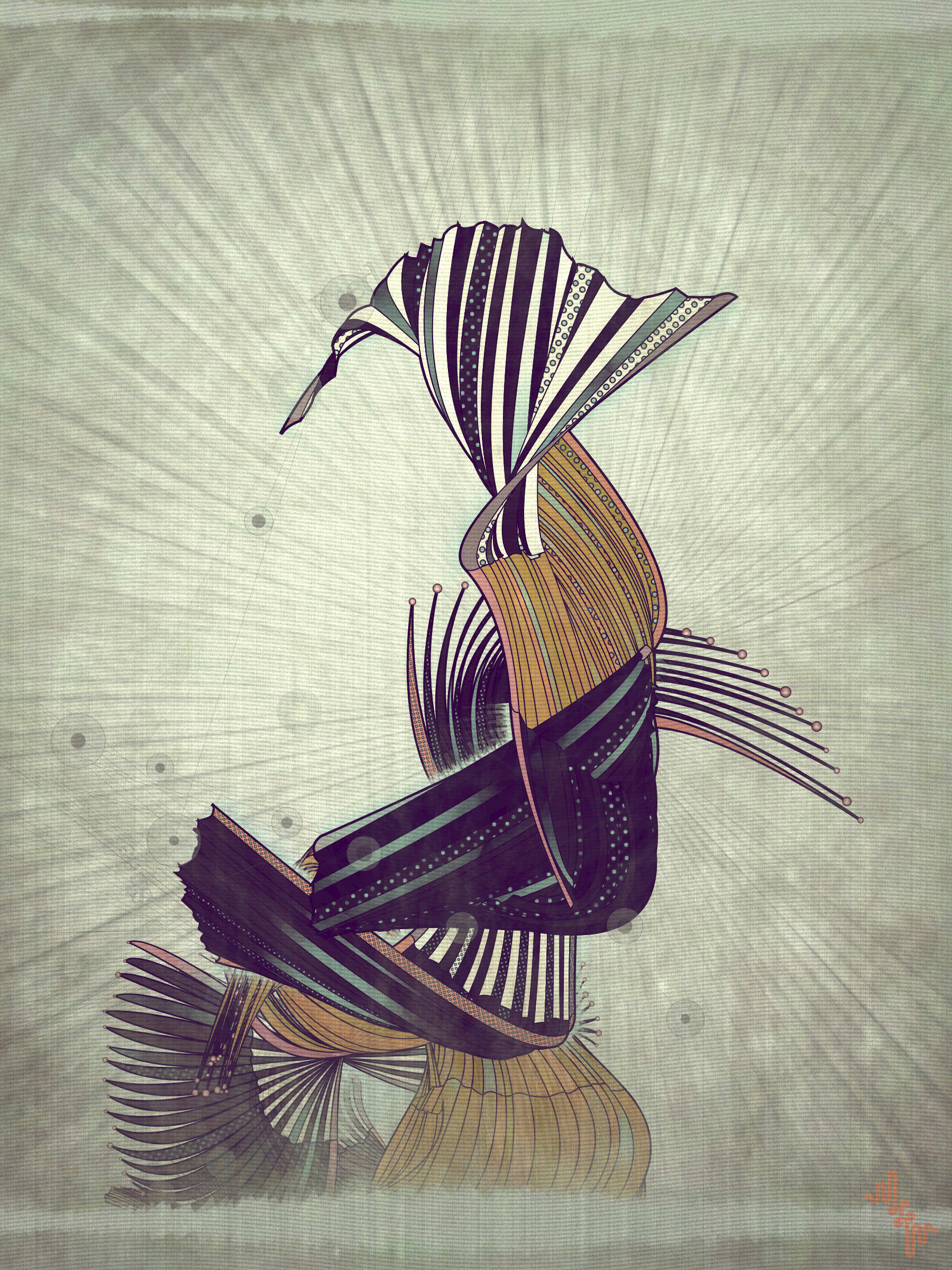 Velum #52