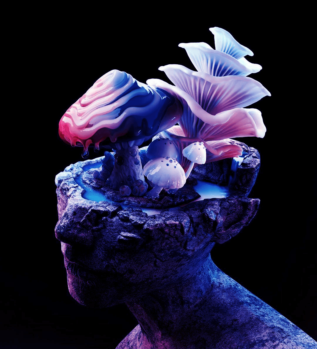 Head
