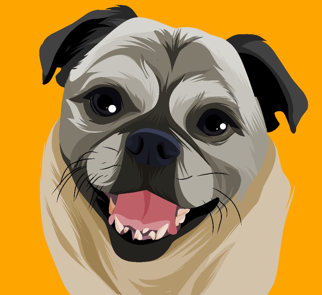 Dog #4