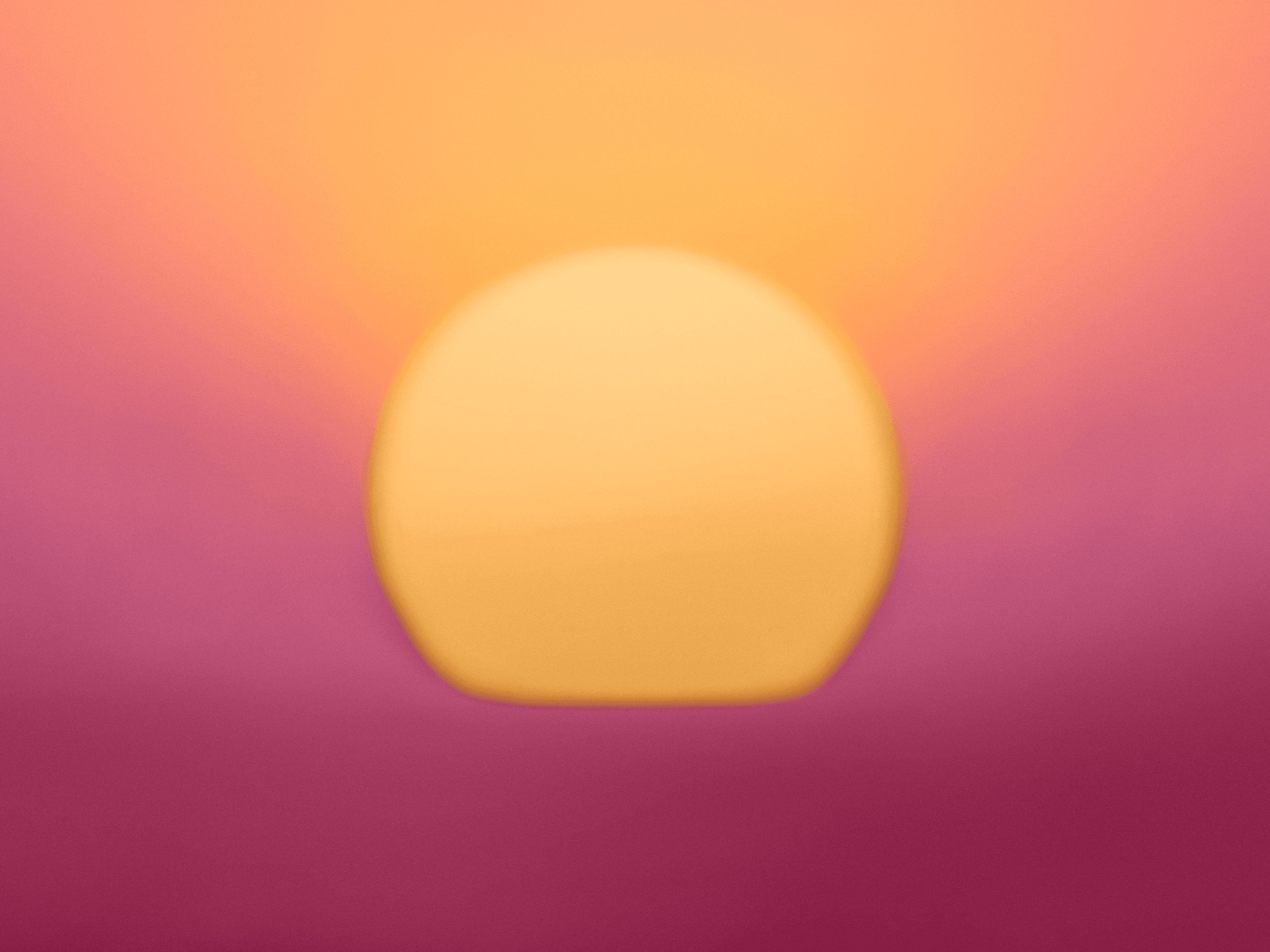 GM Sunshine No8