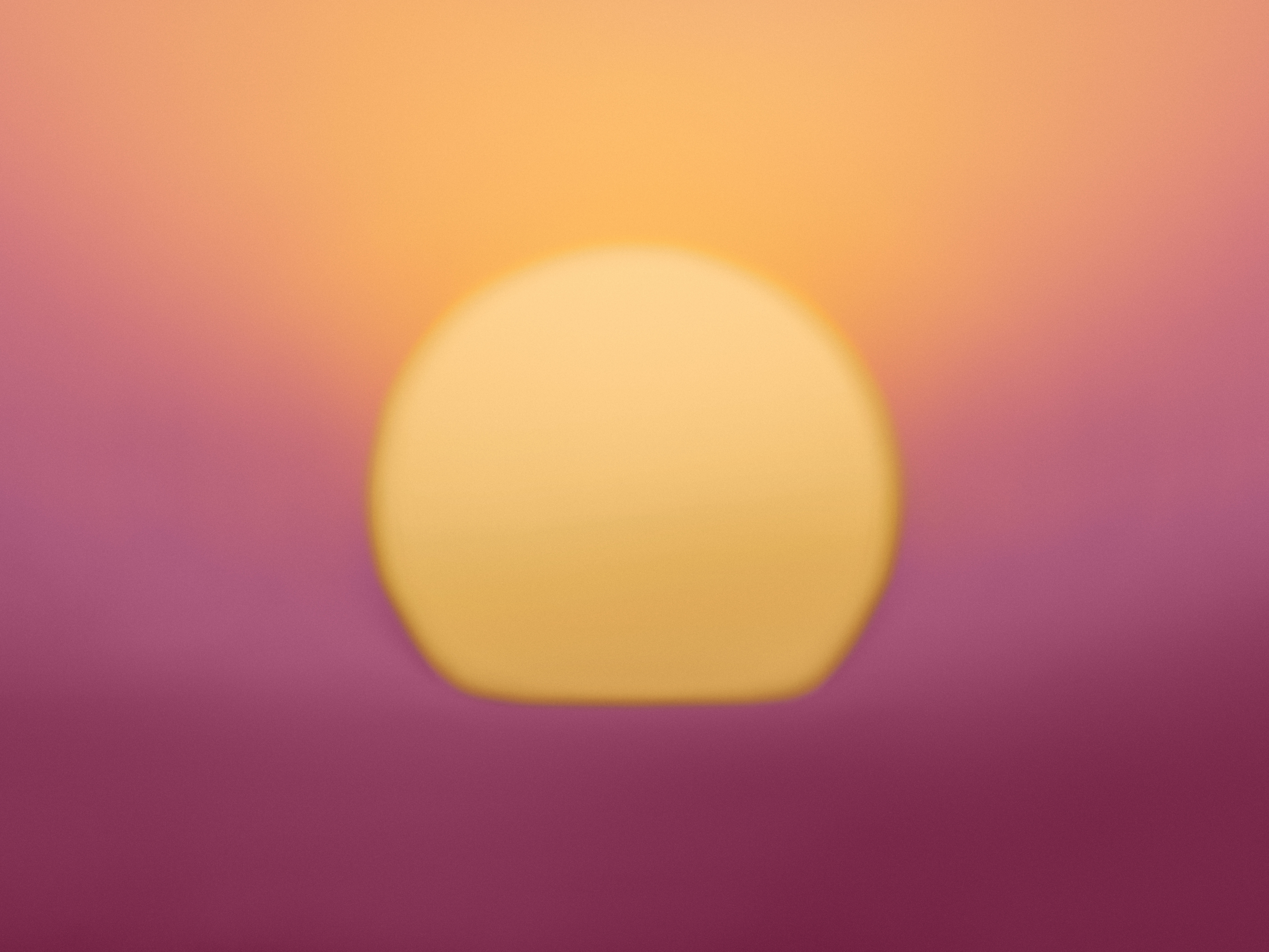 GM Sunshine No8