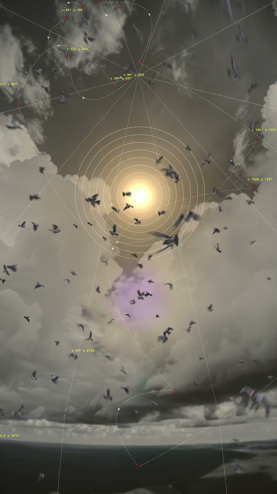 10 am 178 birds