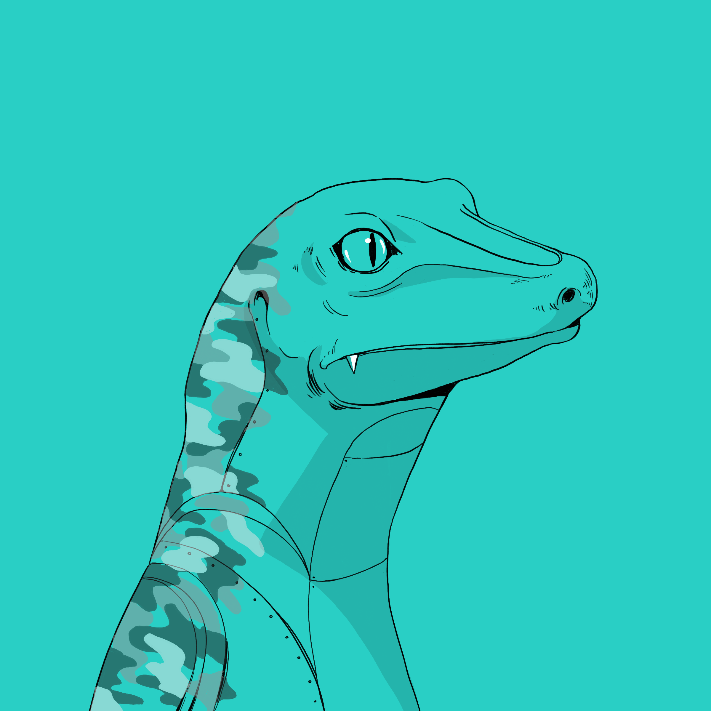 Lizard #4343