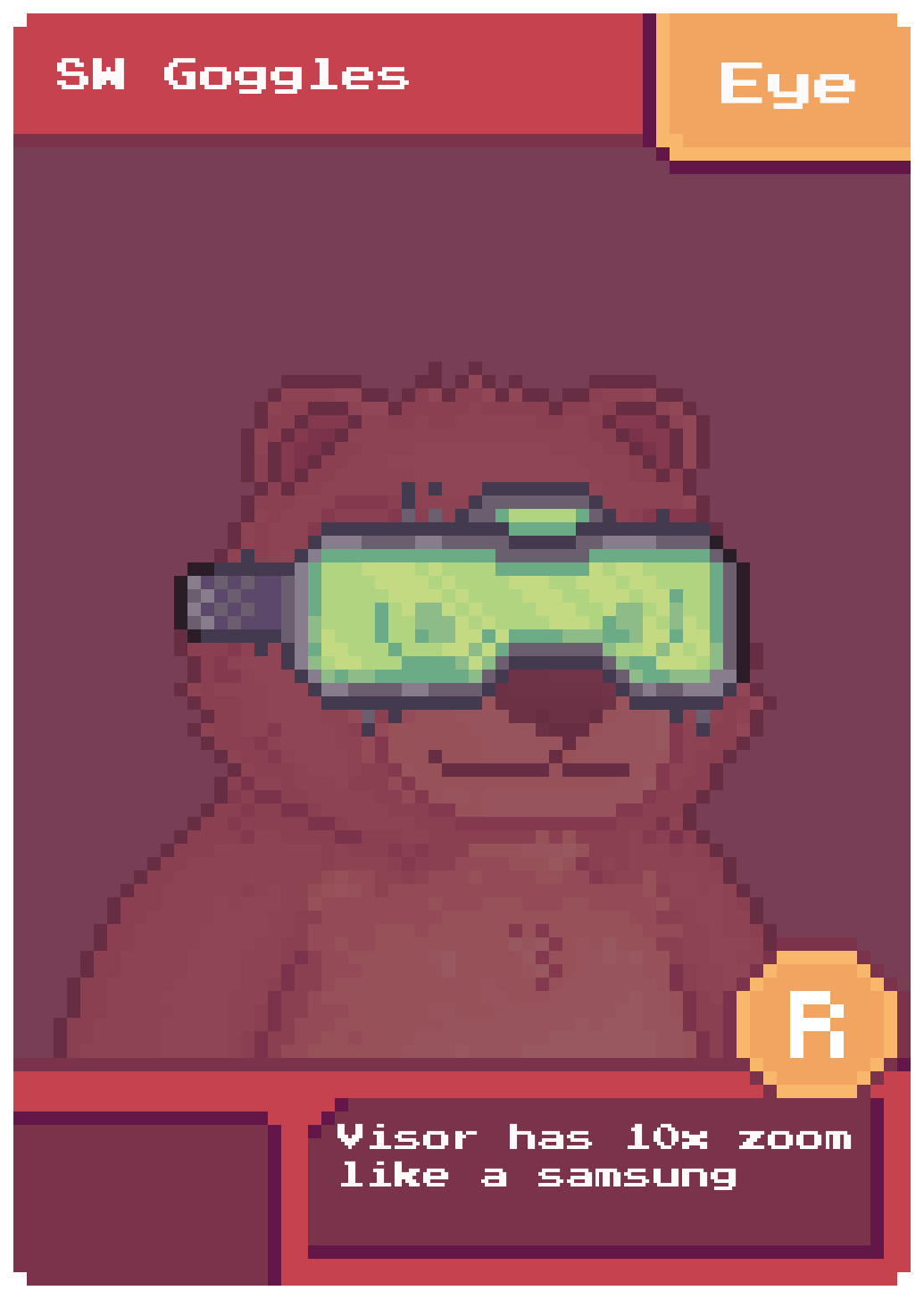 SW Goggles