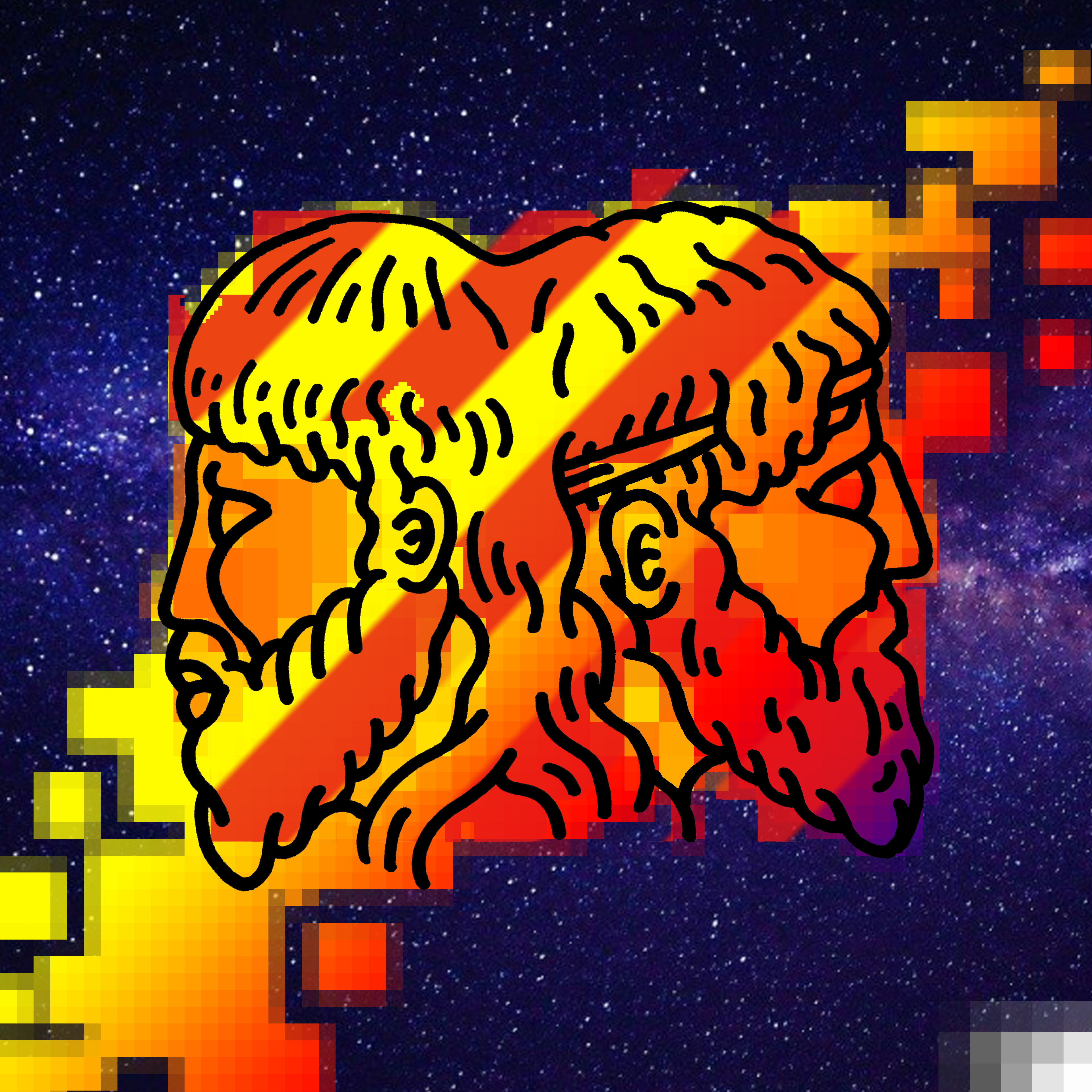 JANUS #70
