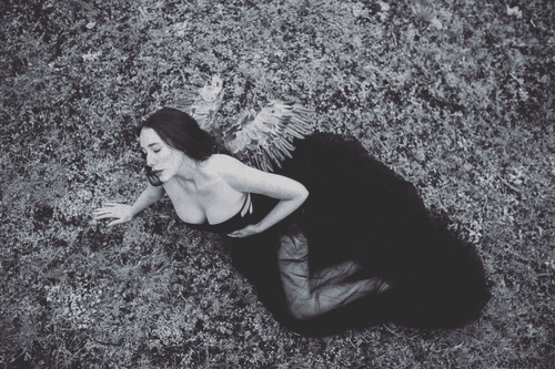Photo #87