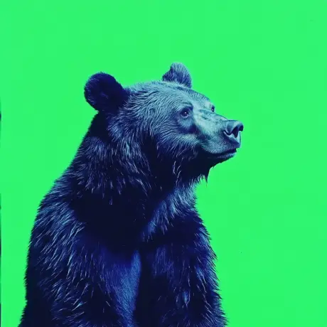 bear #1531