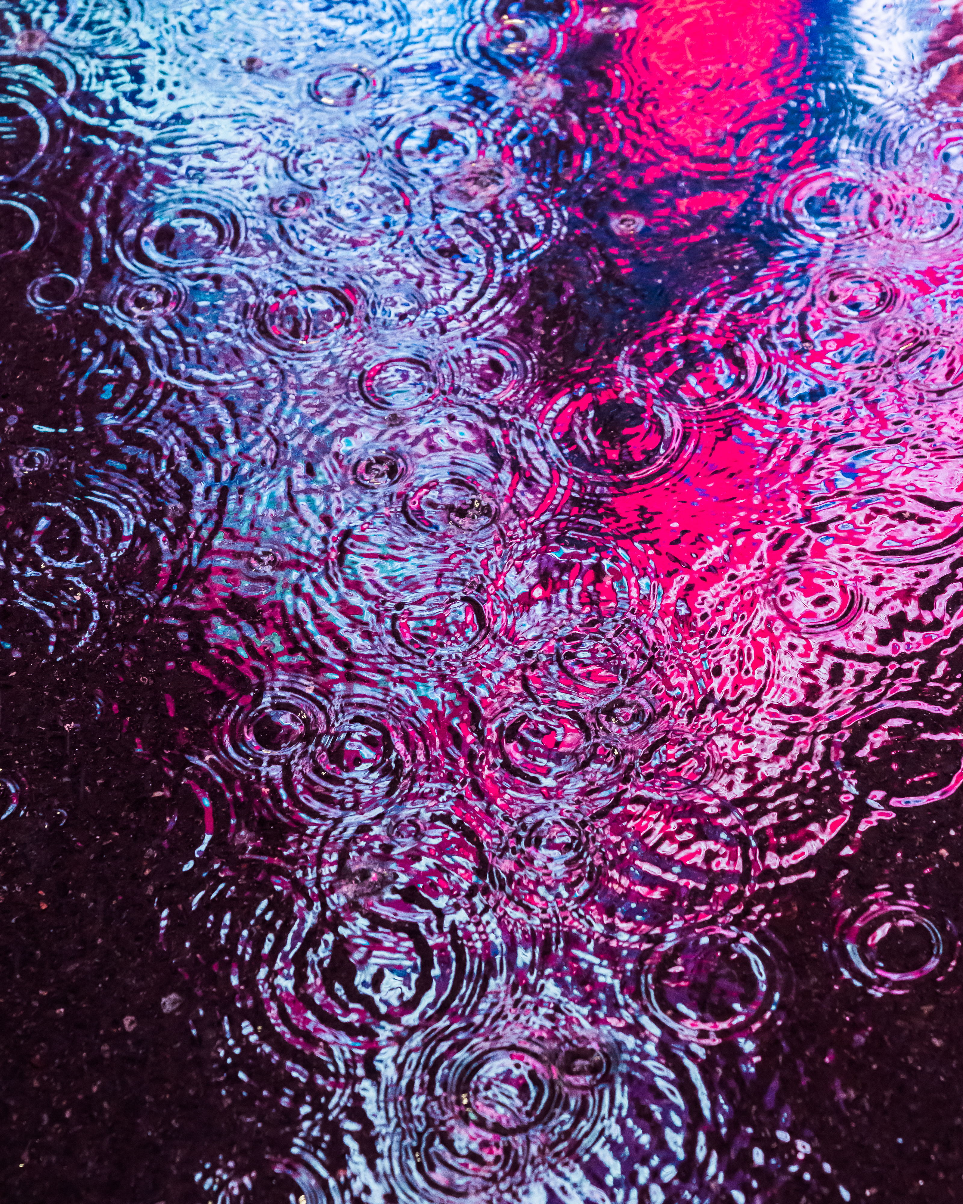 DRIP #486