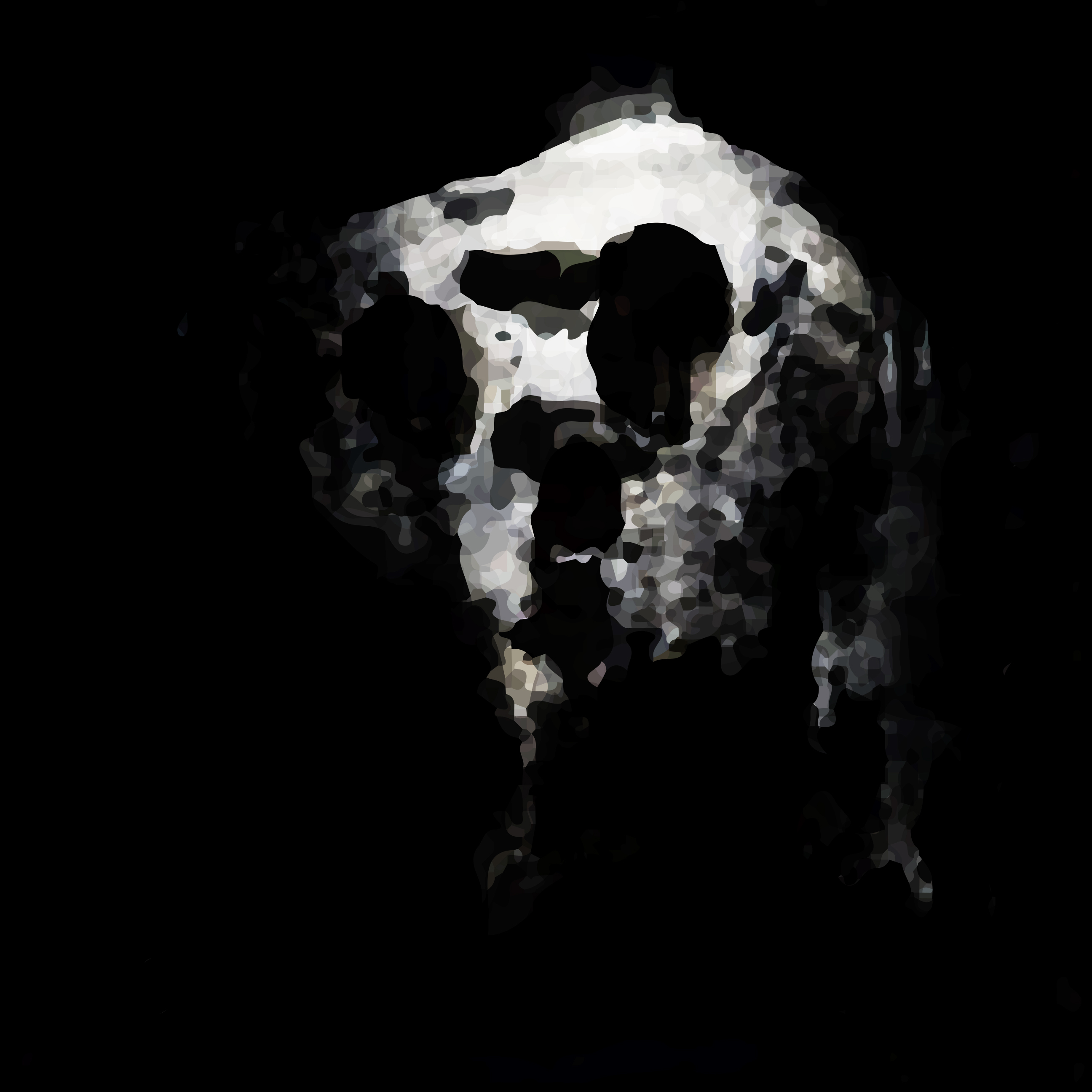 Skull 7.9