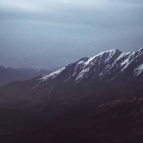 The Light That Finds Us