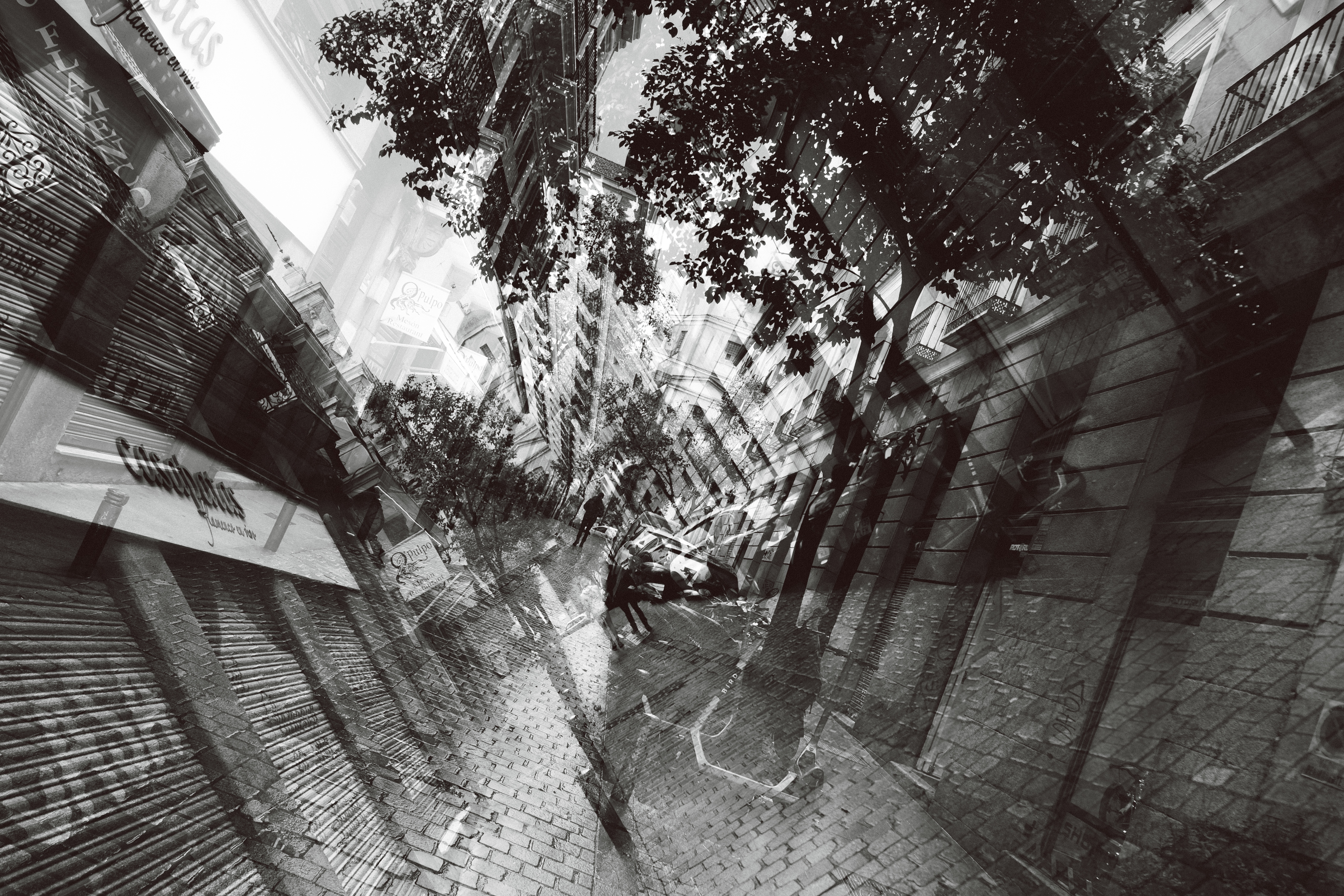 Urban Chaos