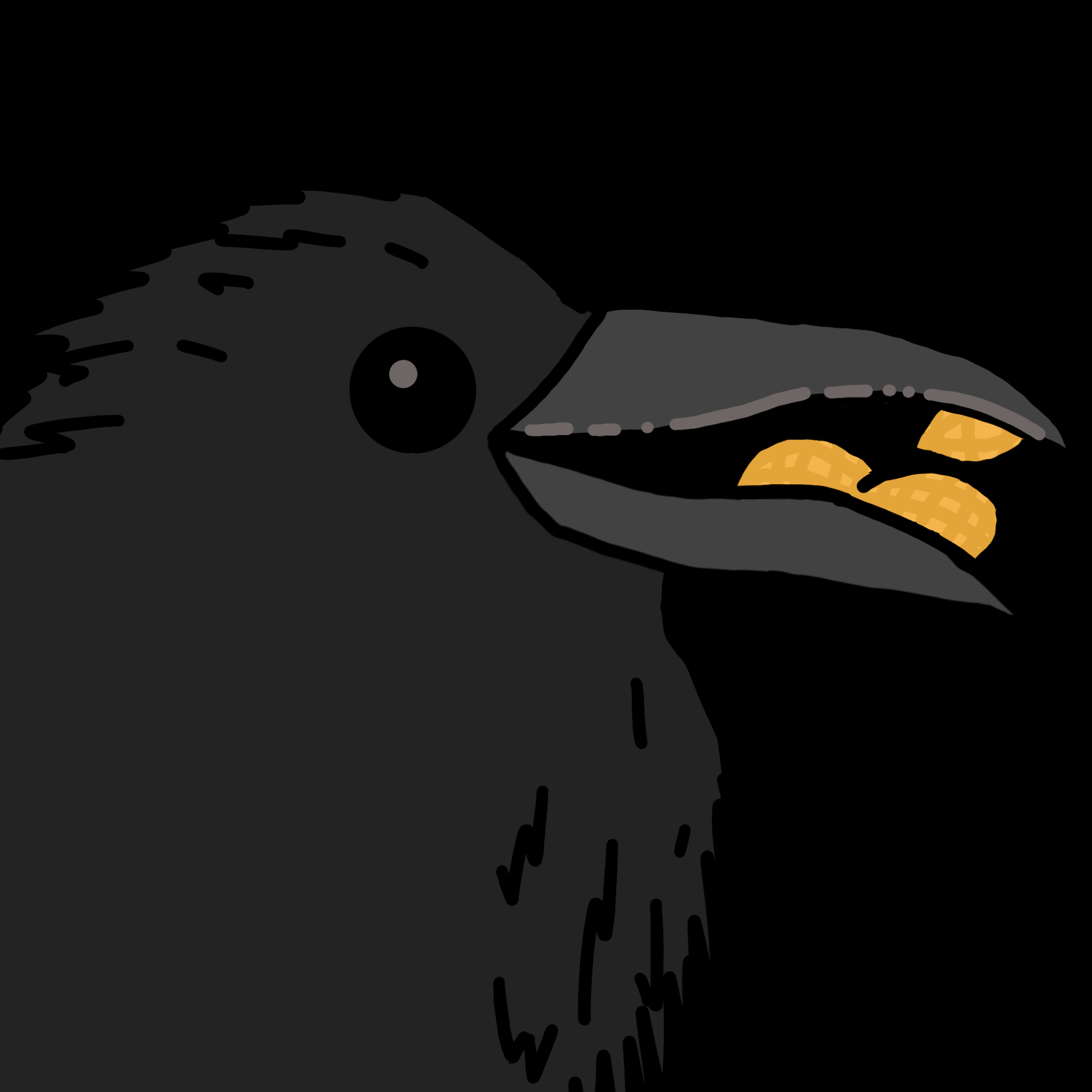 Crow Friends #147