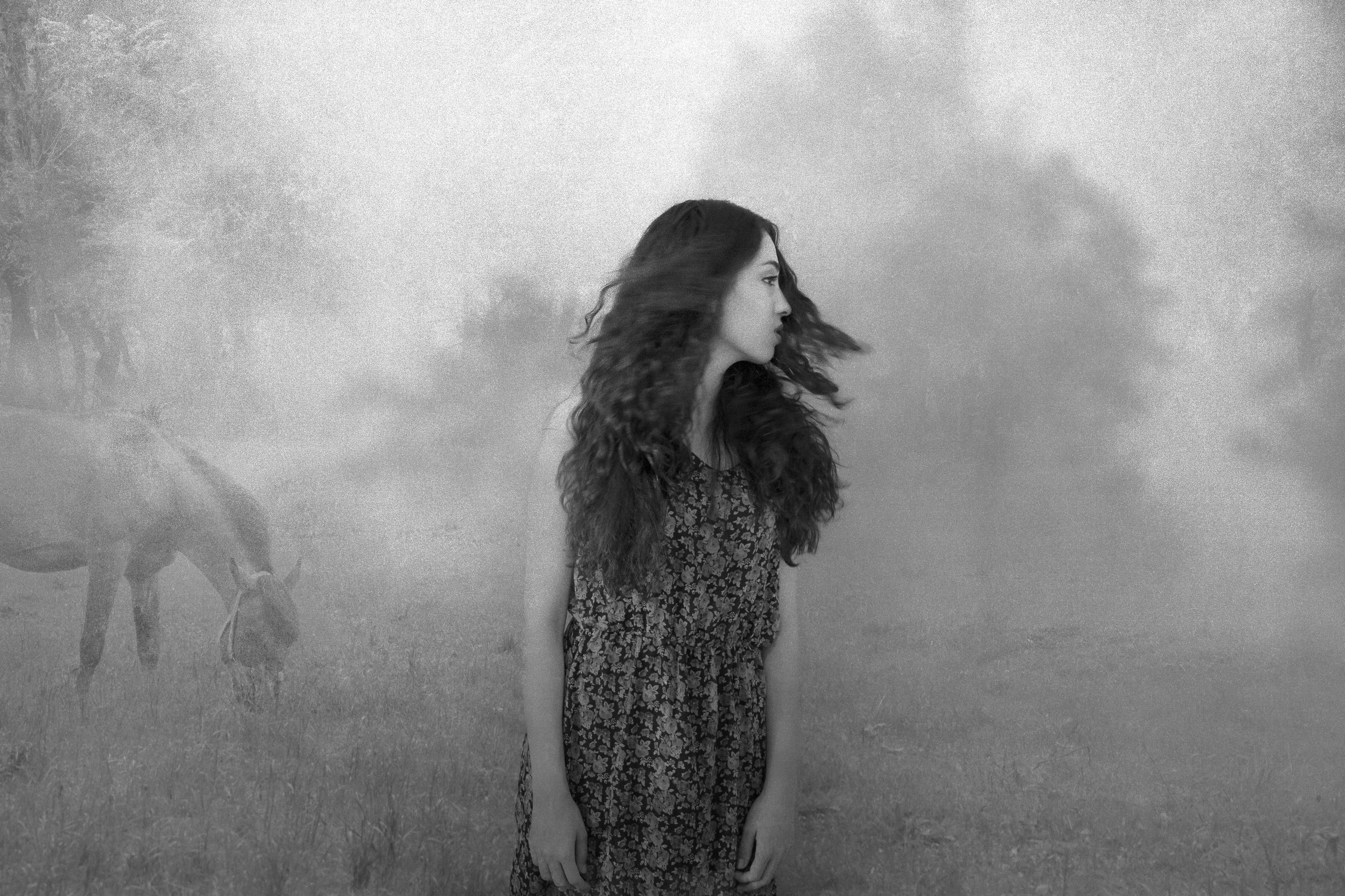 Lucid dream