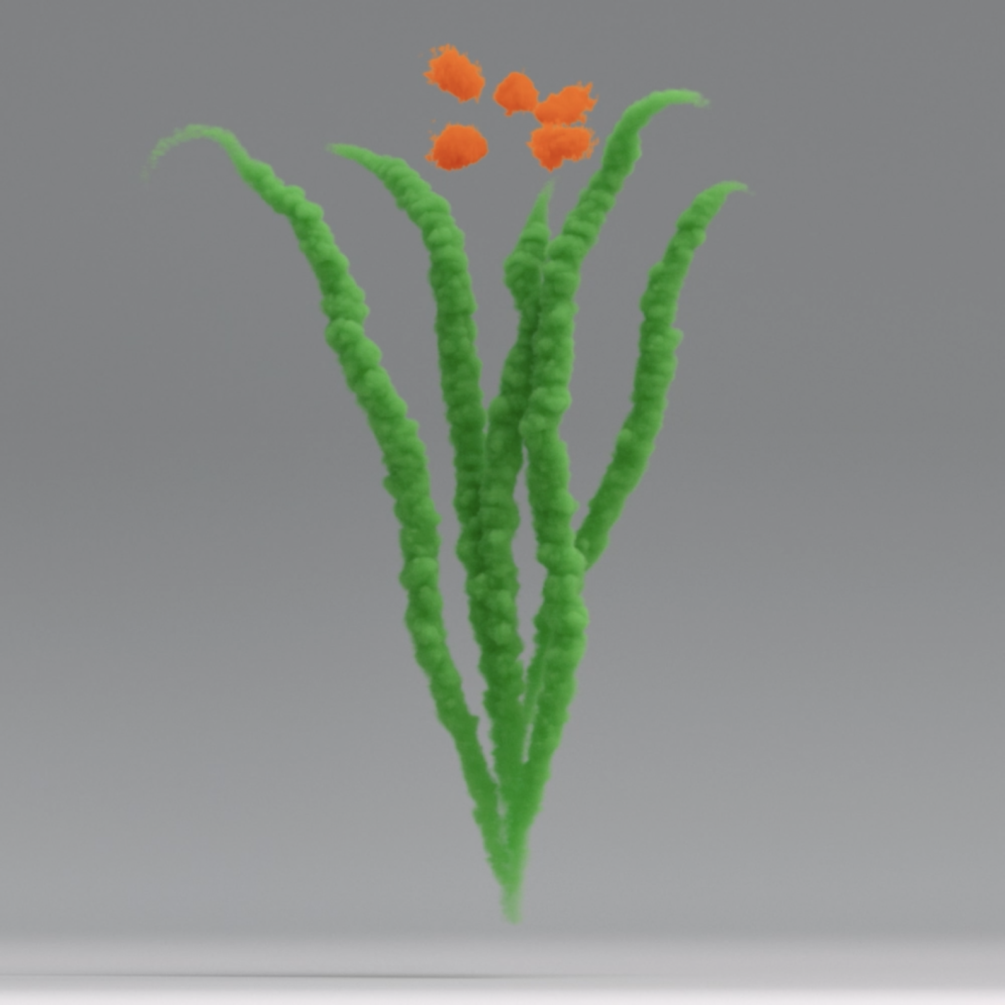 Day 34 #1