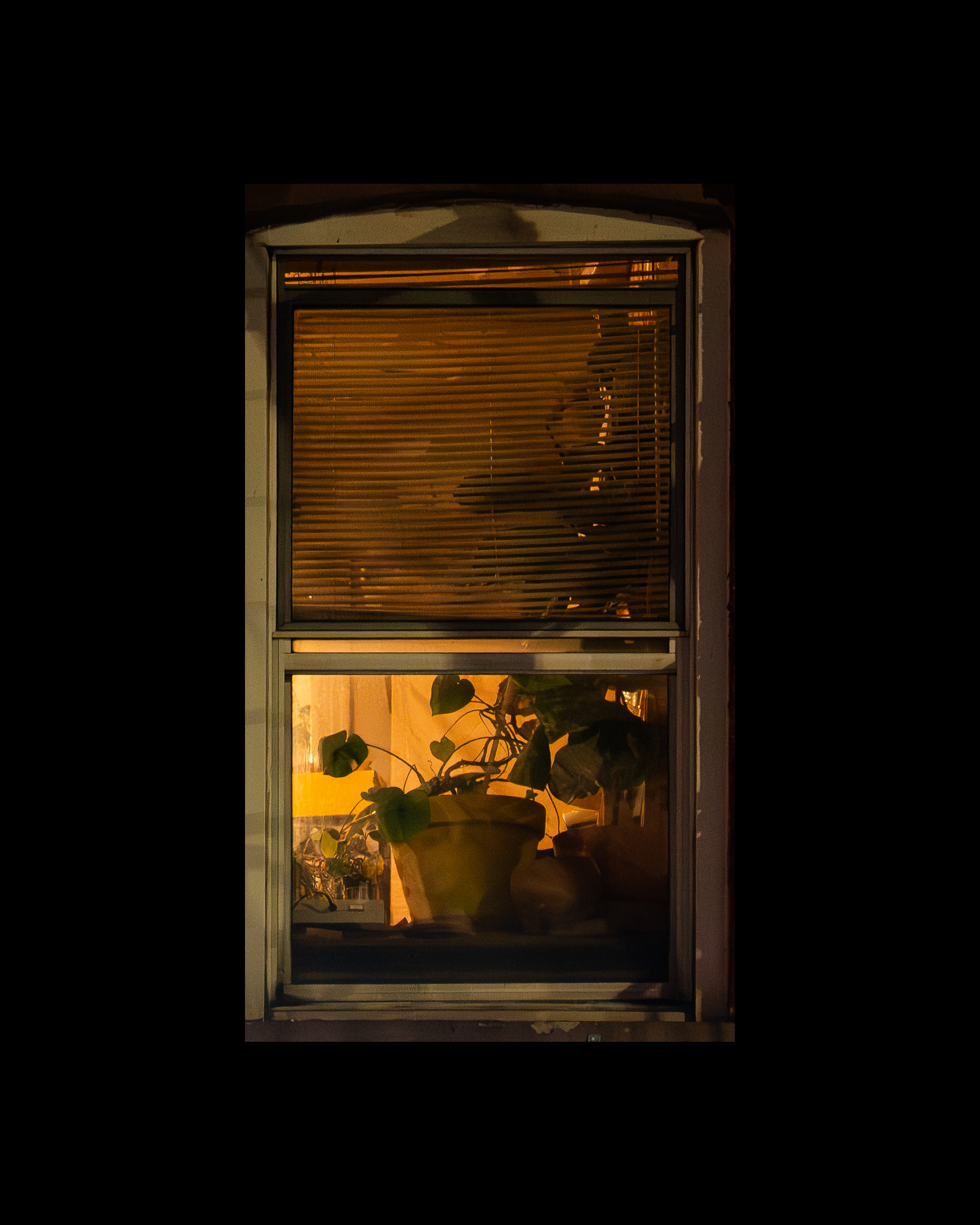 WINDOW 3