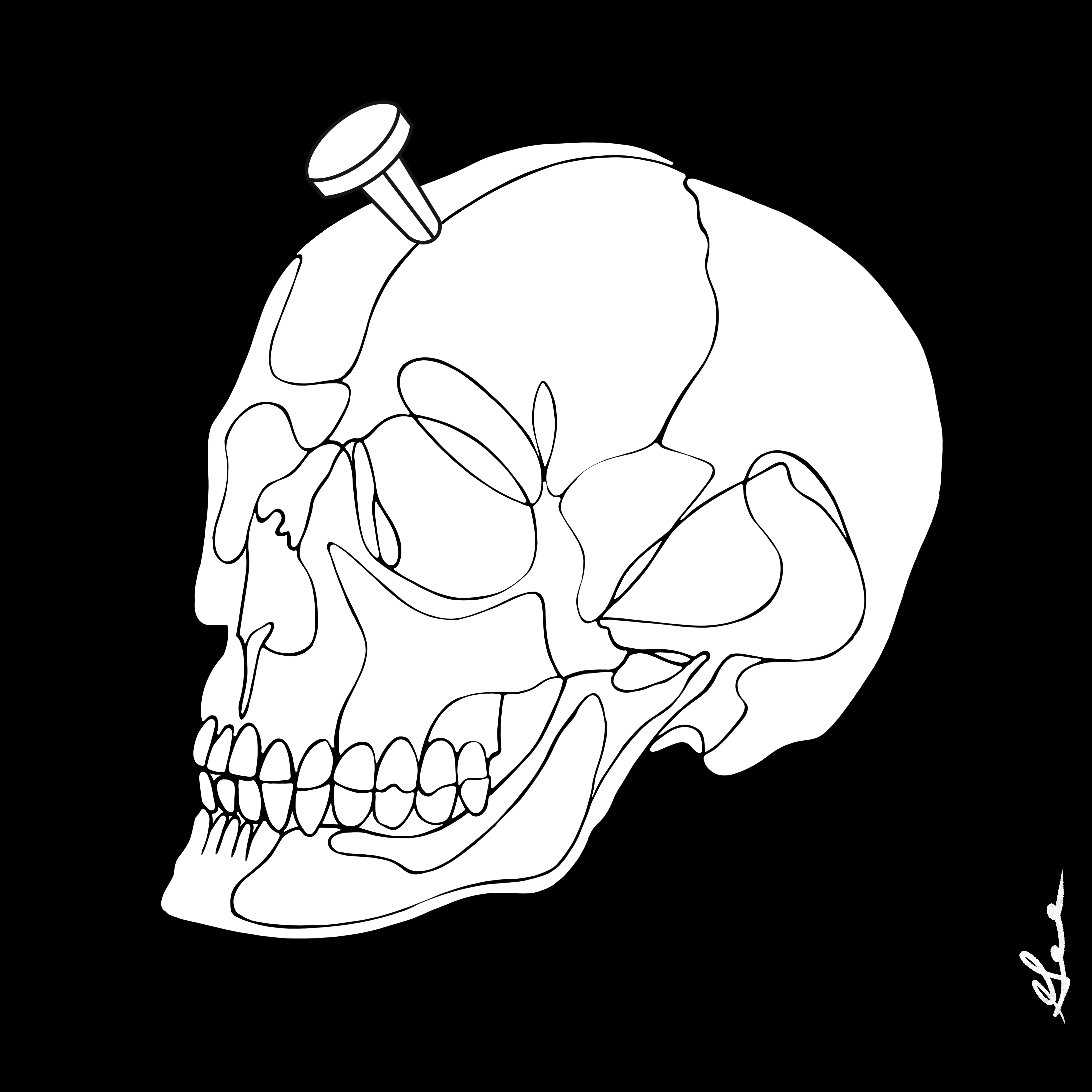 Wicked Cranium X Haylos #1568