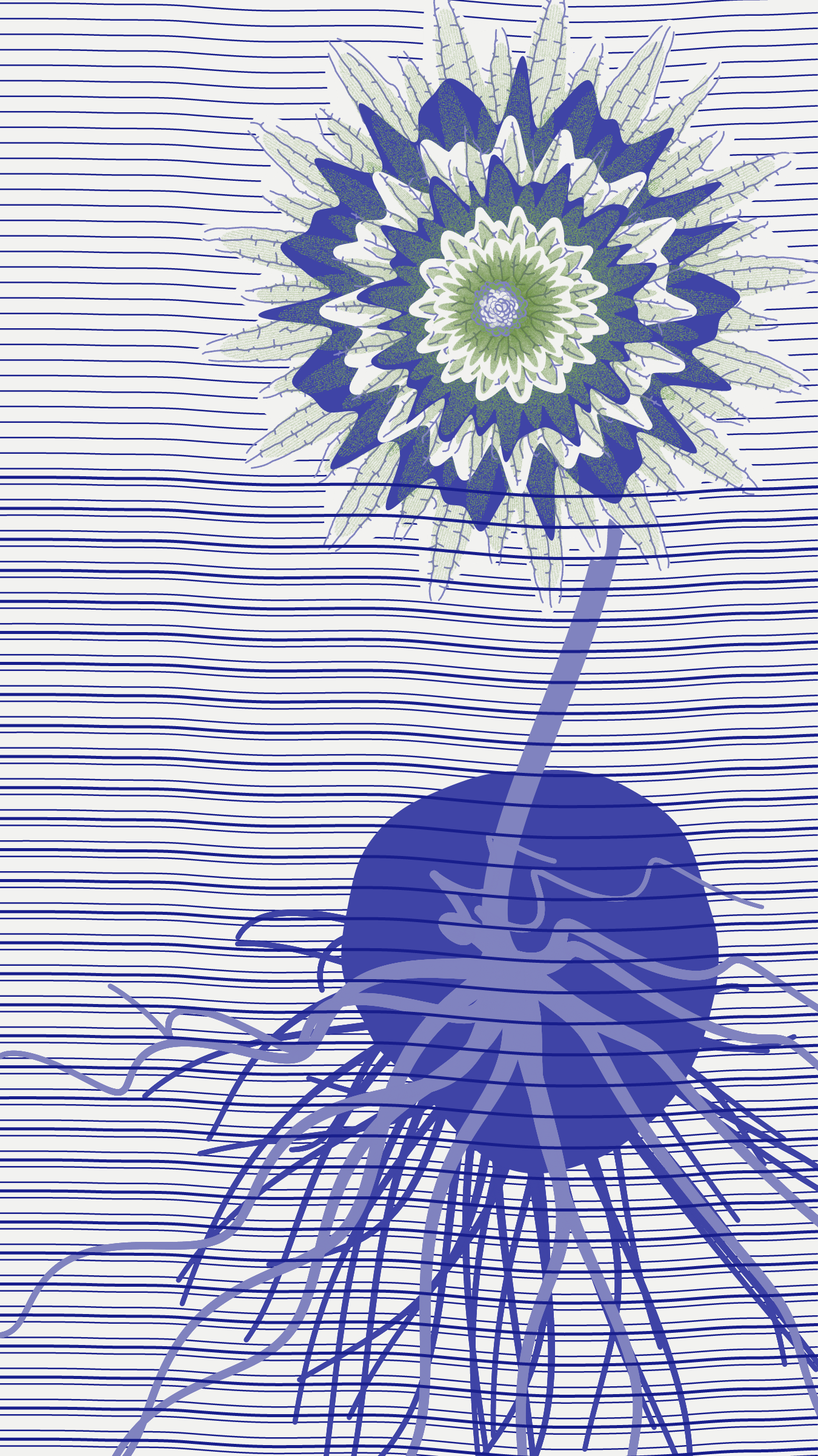 Underwater #66