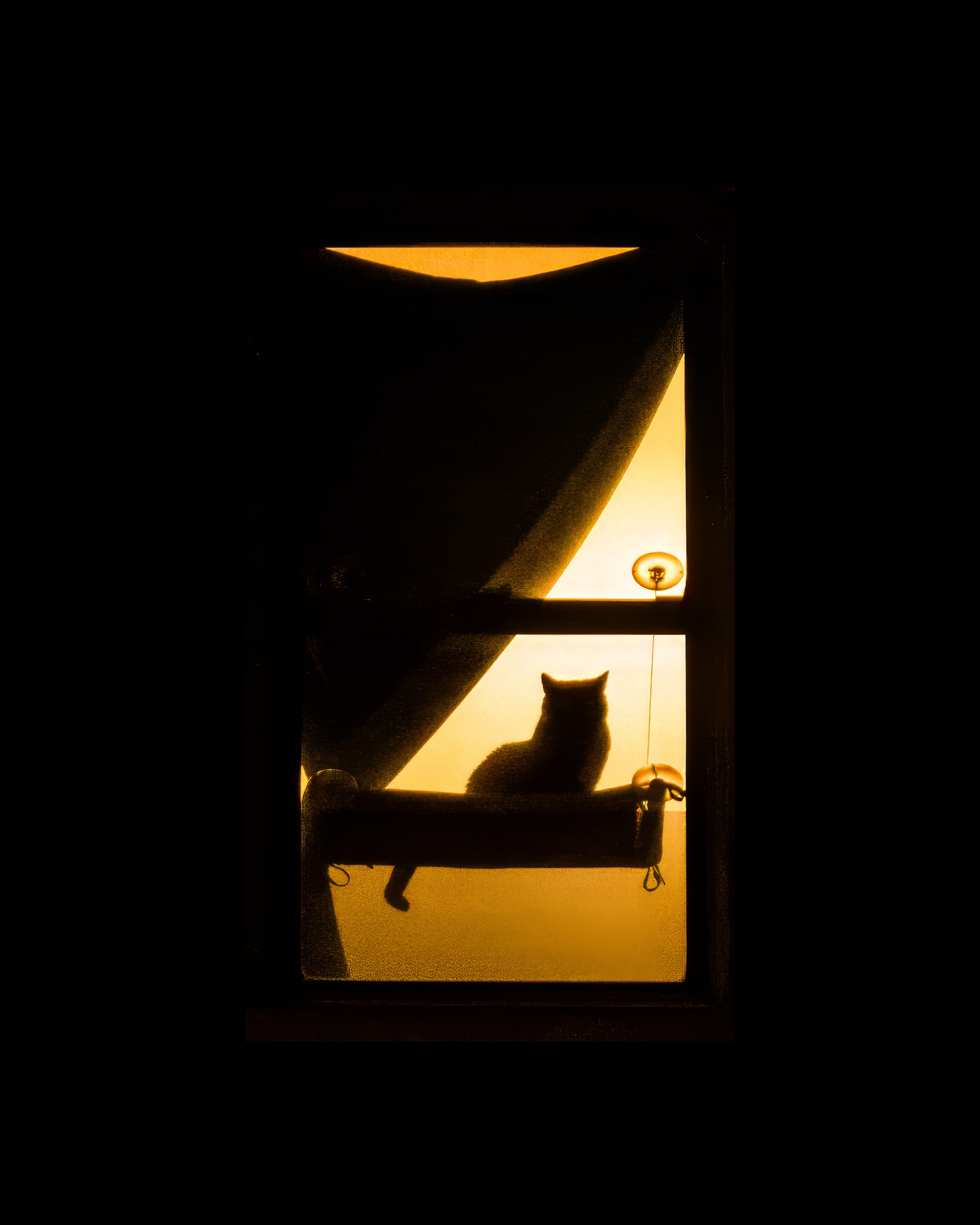 WINDOW 8