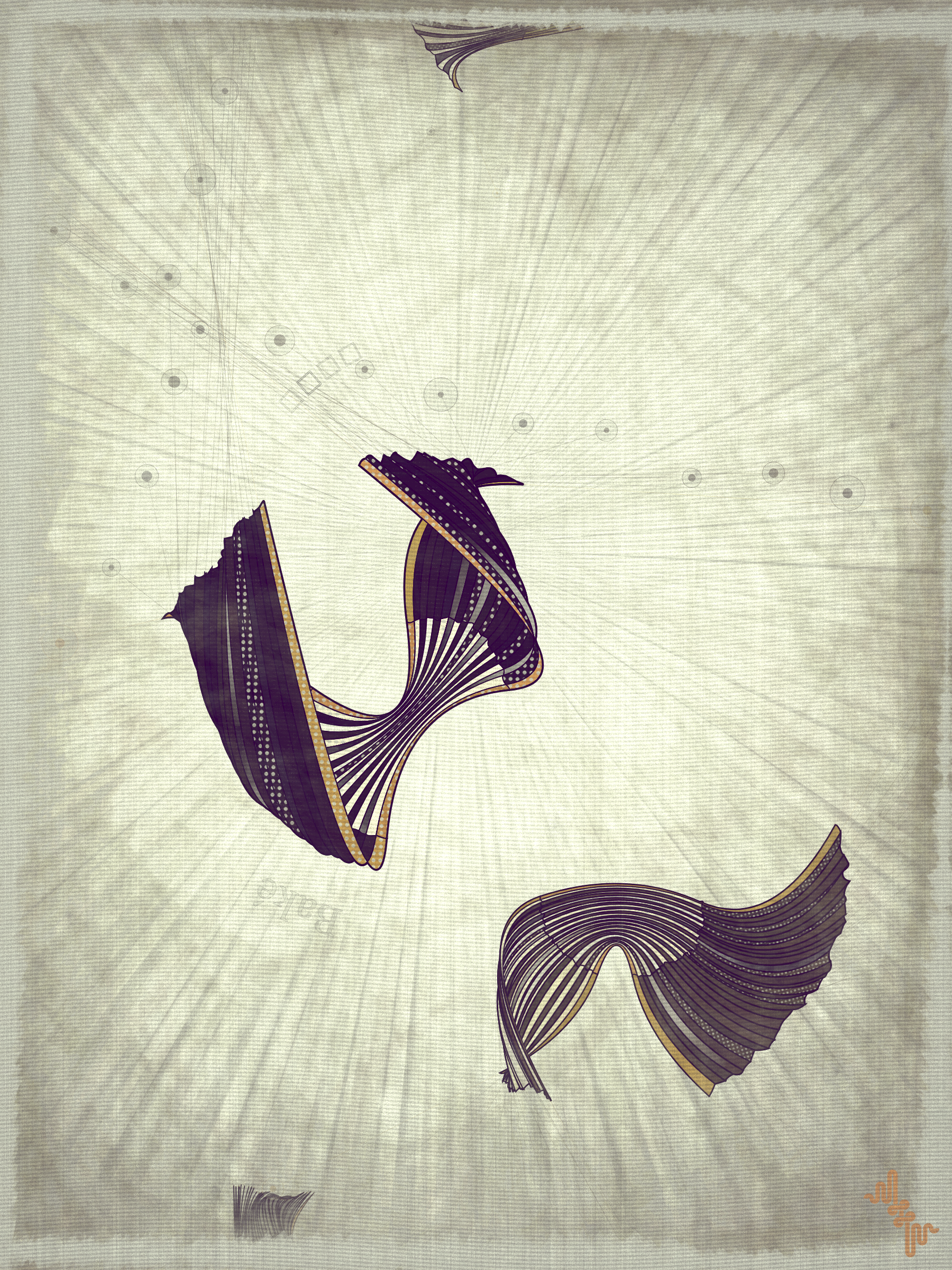 Velum #56