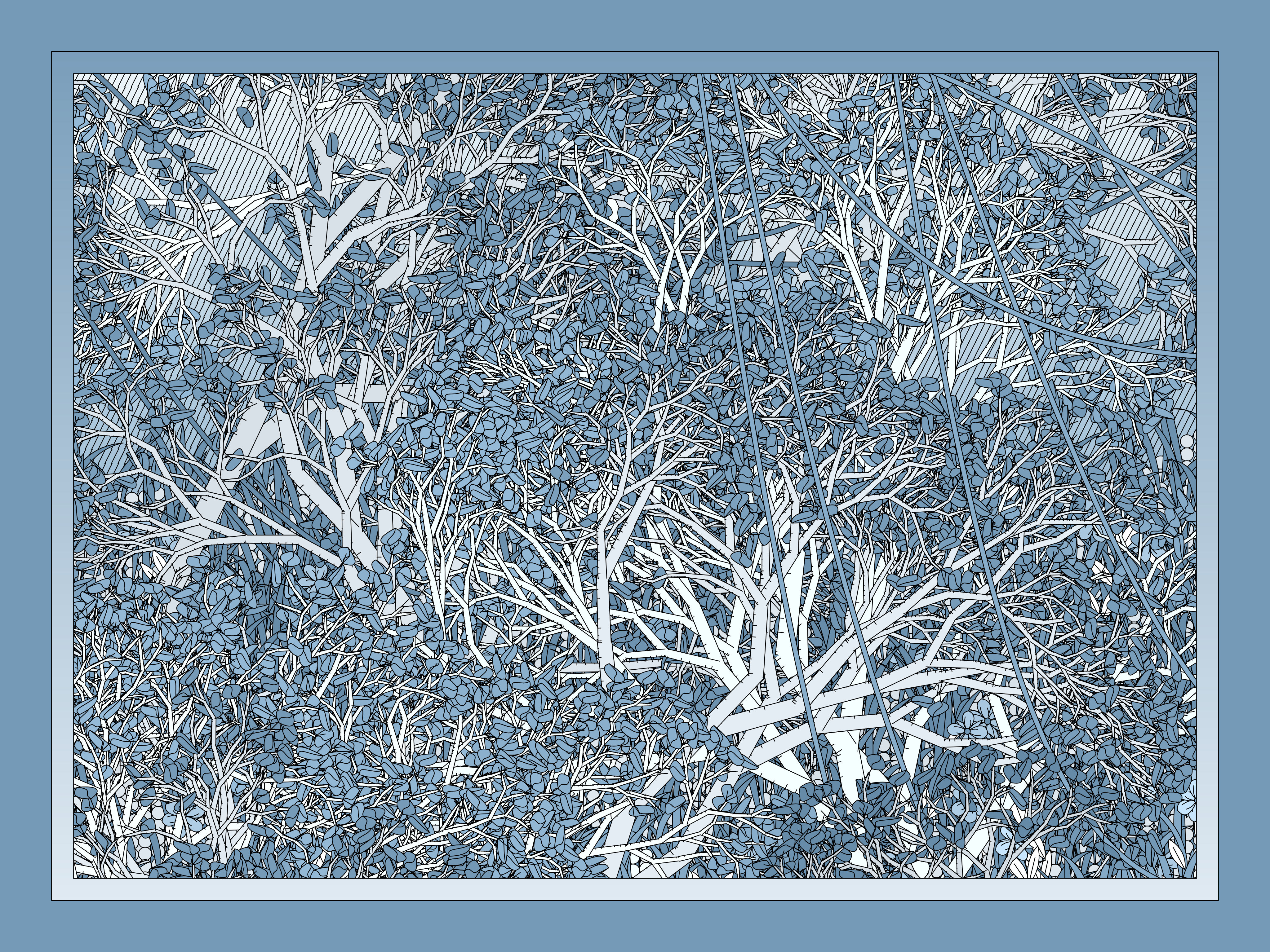 Entangled #246
