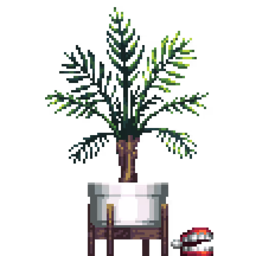 Areca Palm in Elevated Wood pot with Chattering Teeth