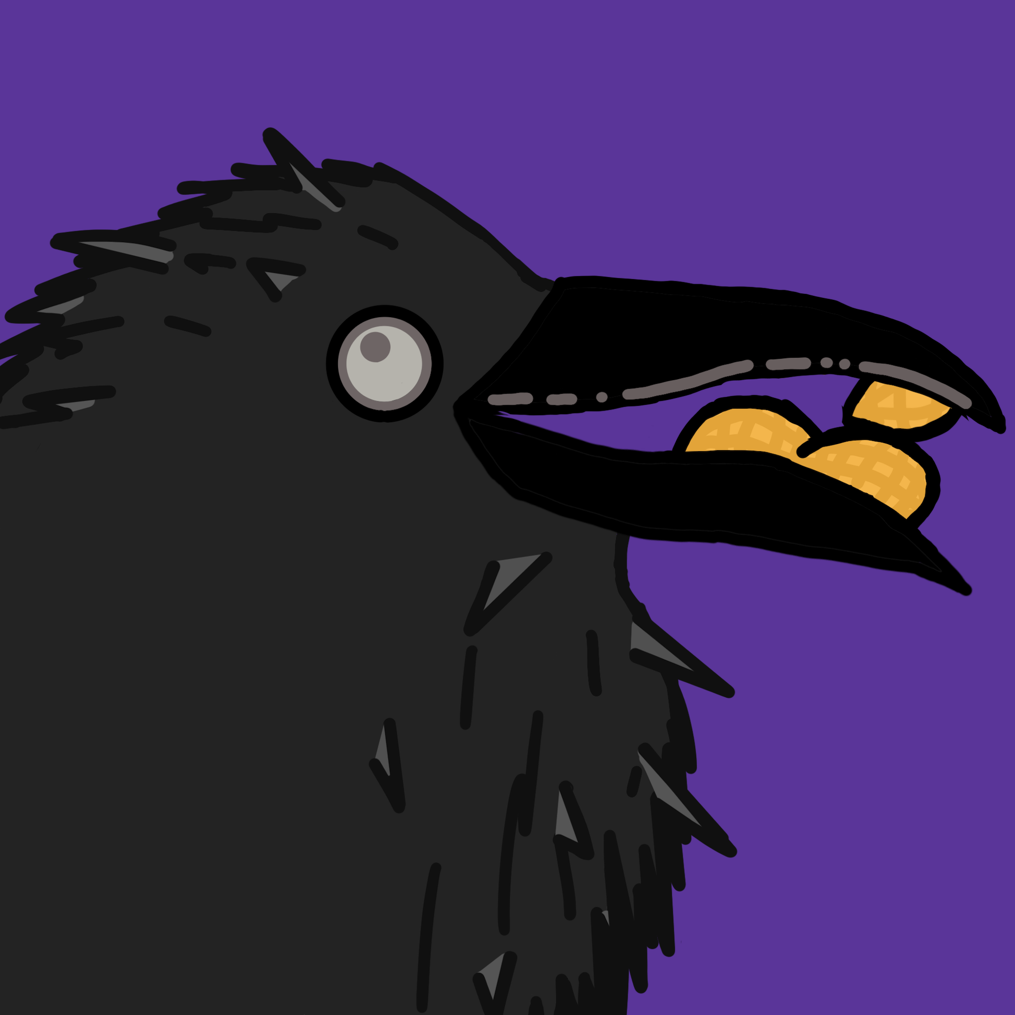 Crow Friends #140